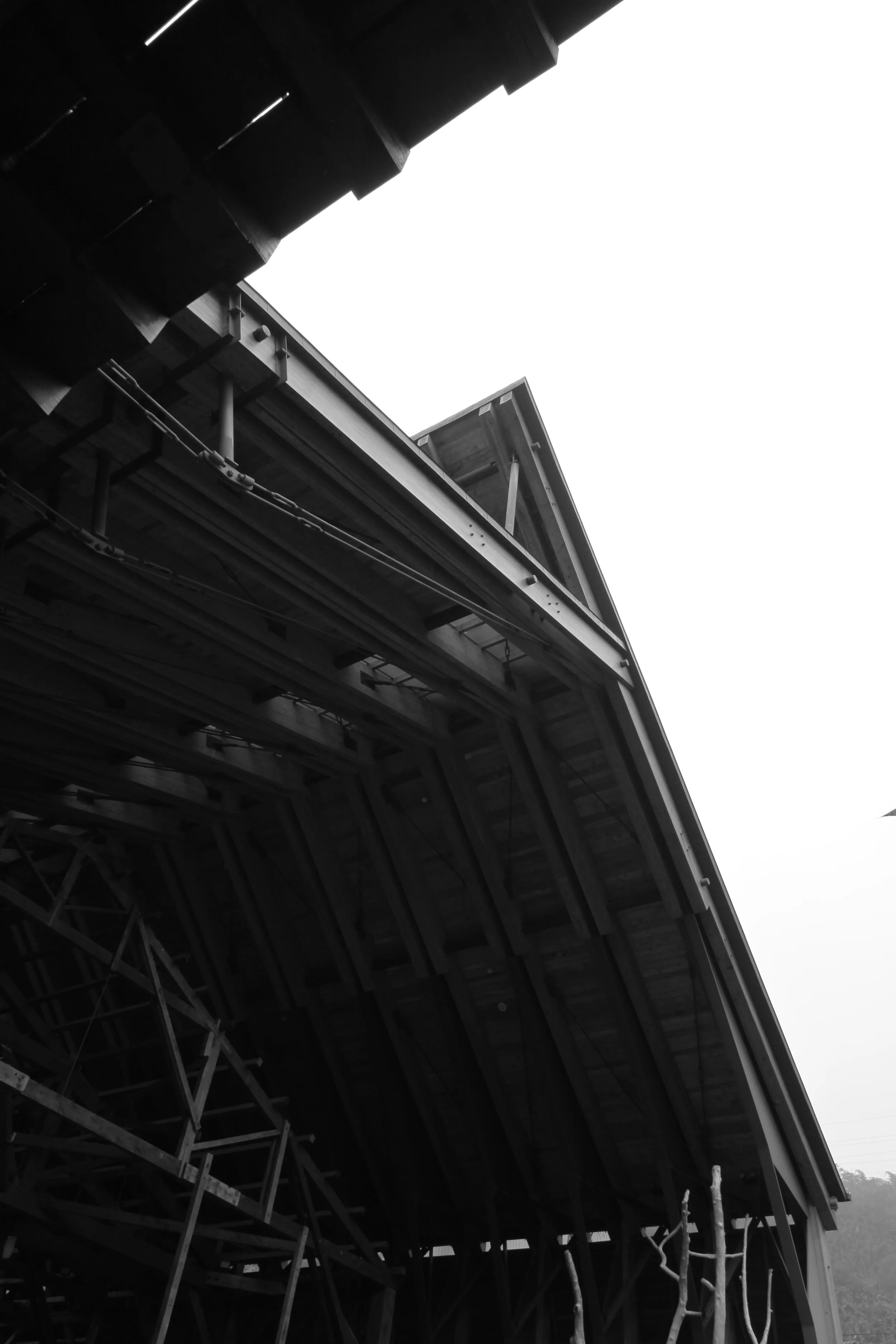 1201250083.JPG