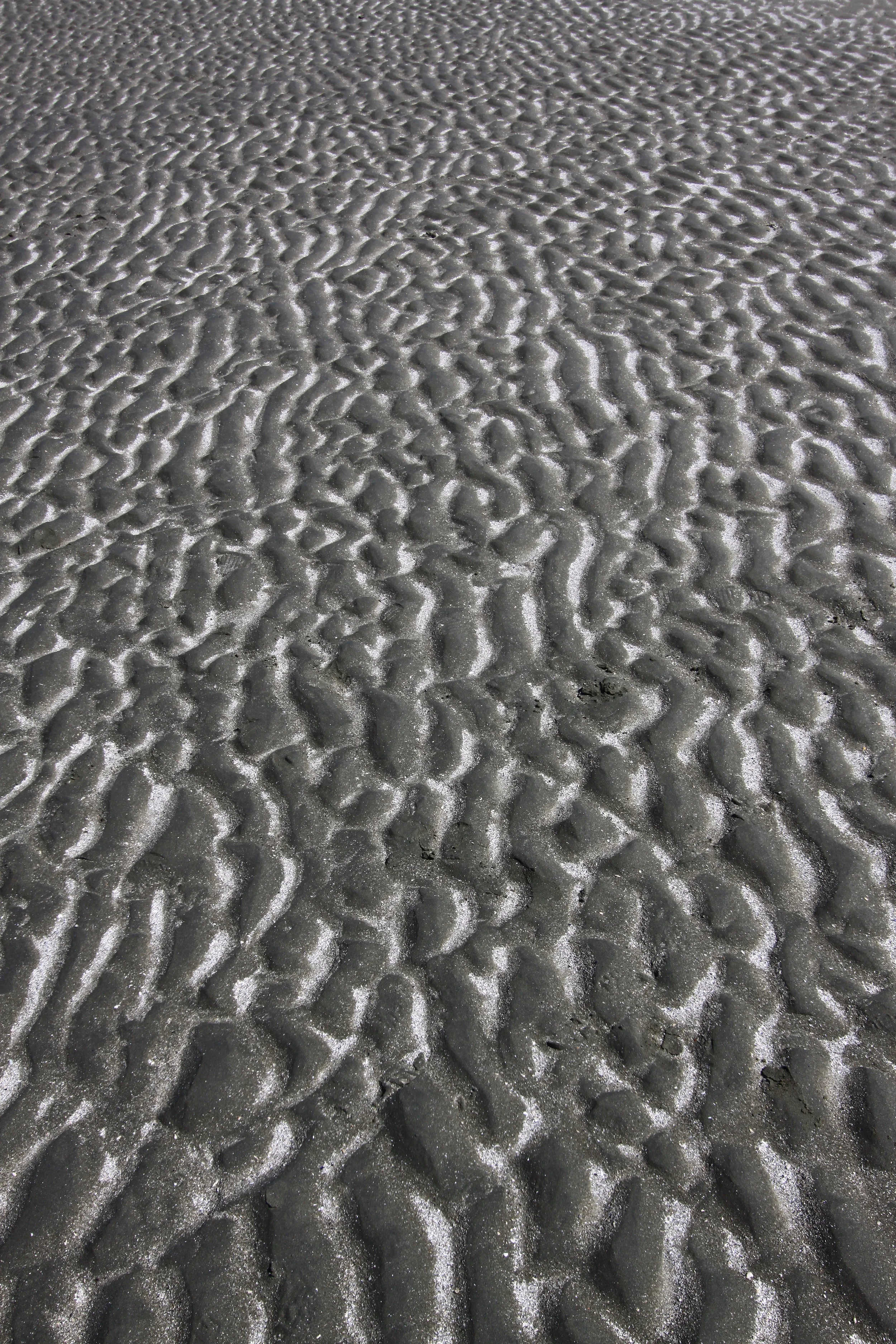 1107070165.JPG