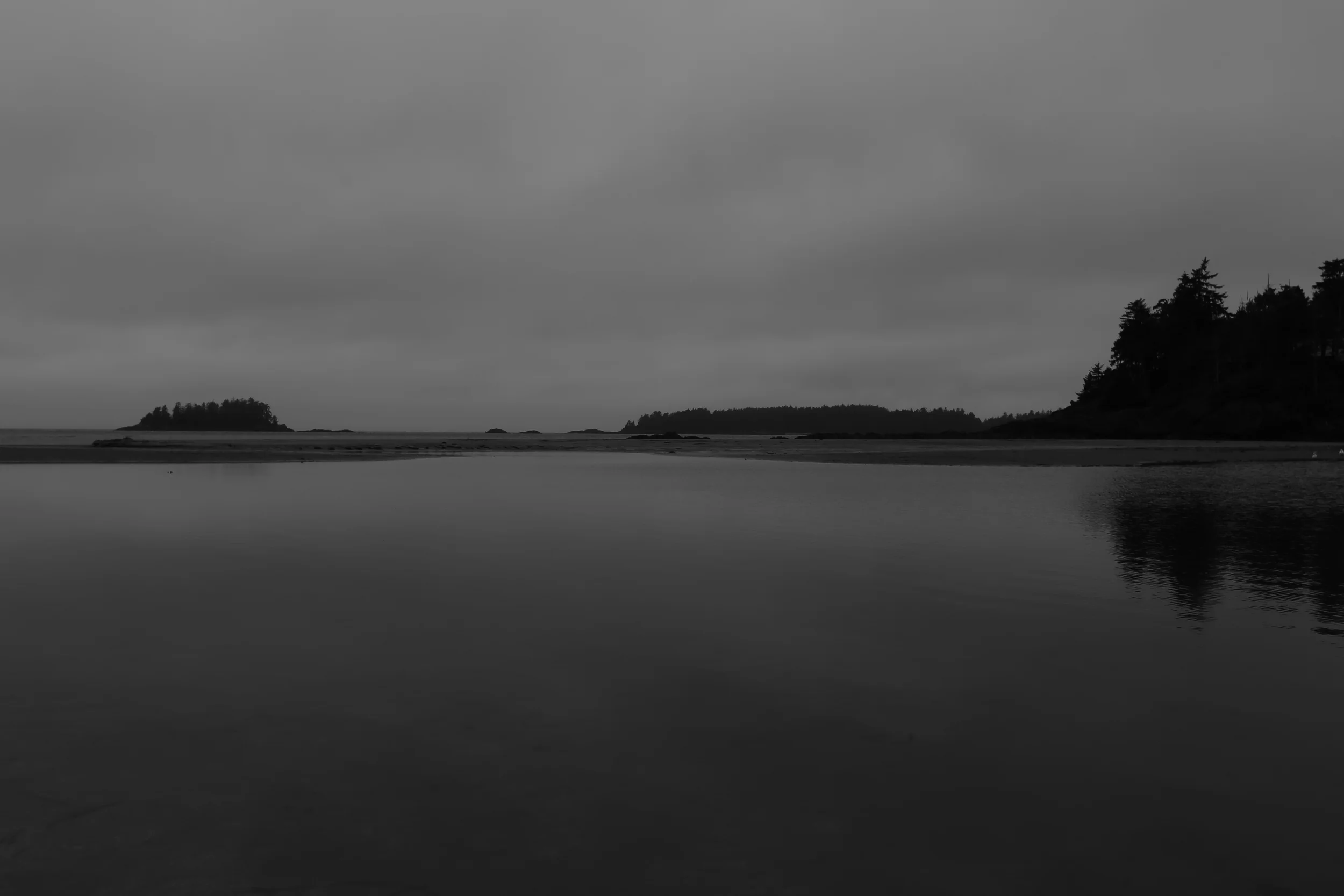 1308100259.JPG