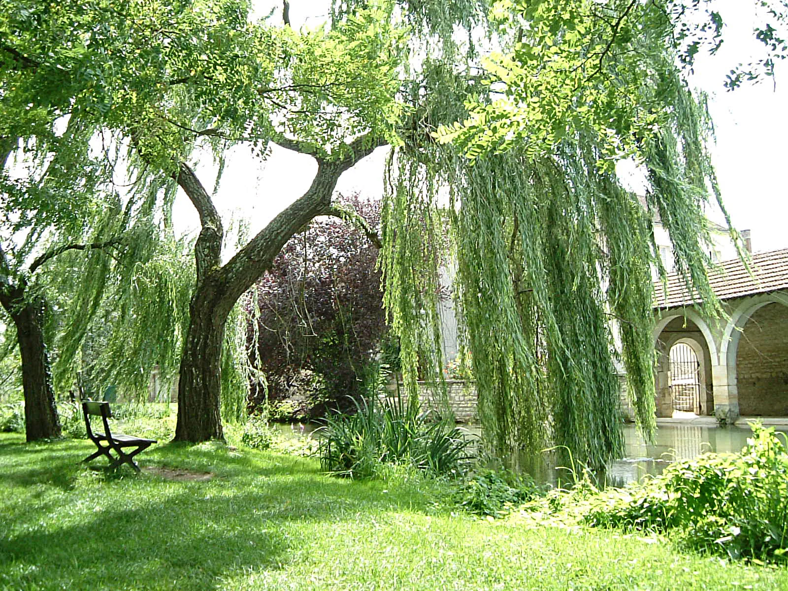040829-2-27.JPG
