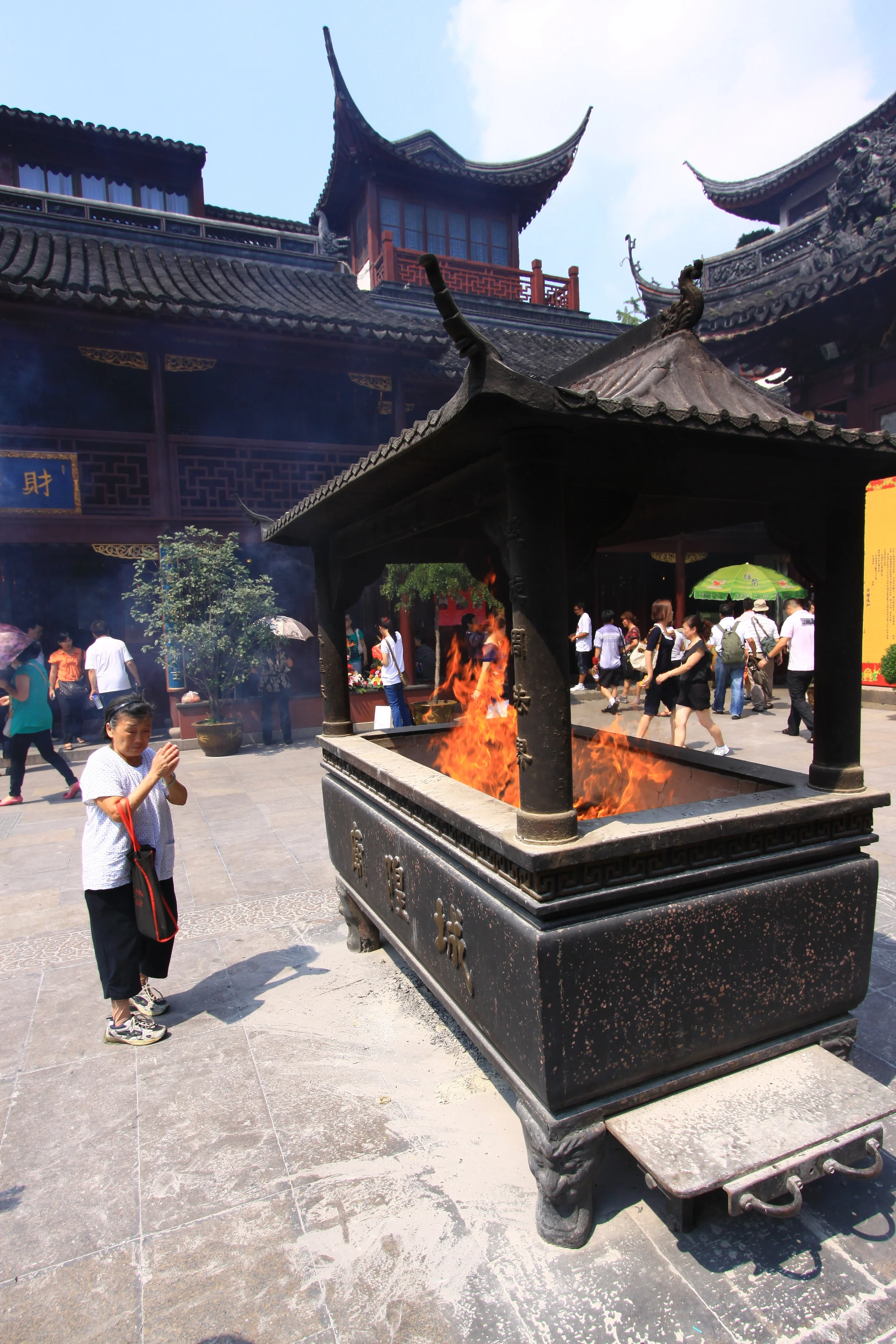 1009080027.JPG