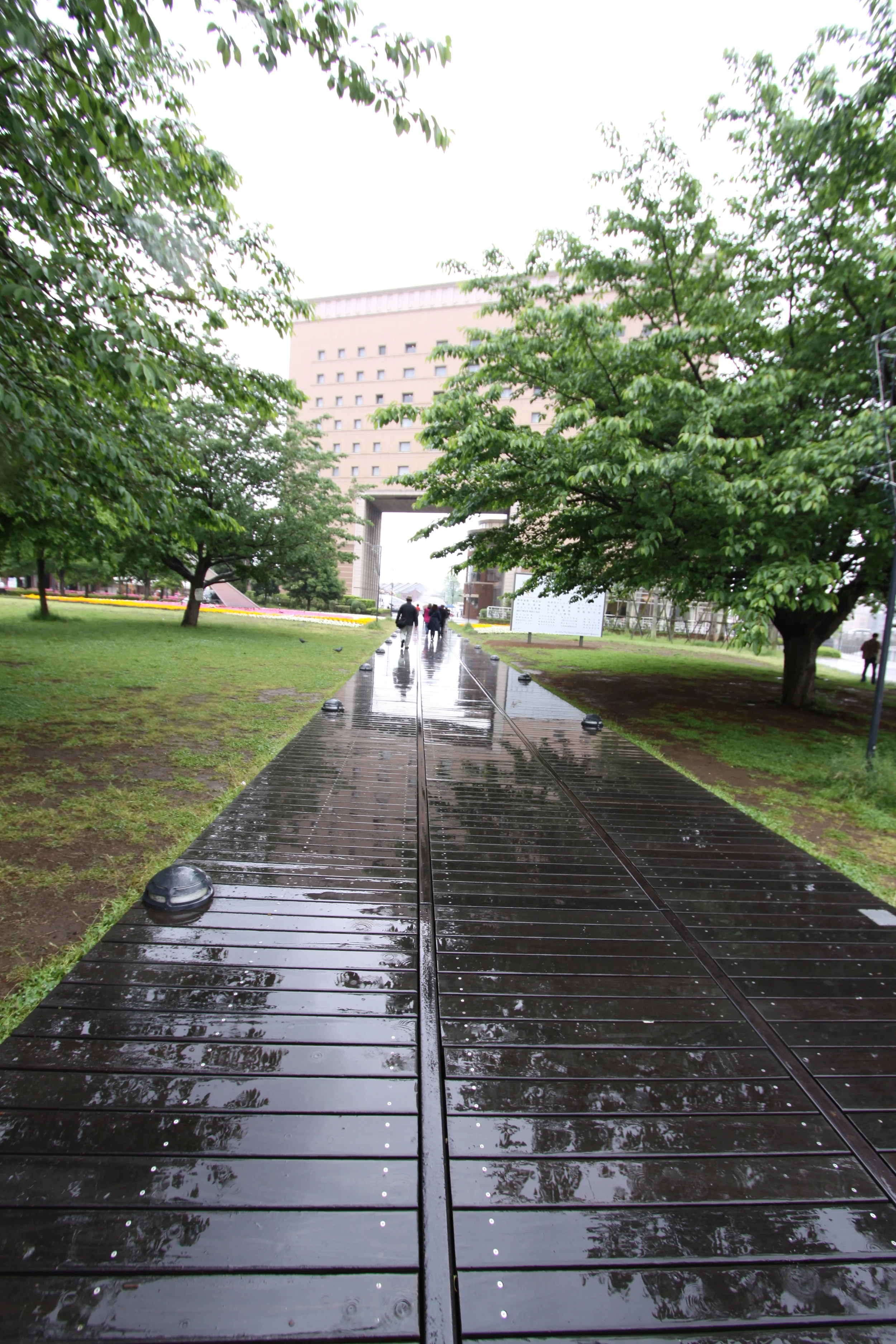 0905060173.JPG