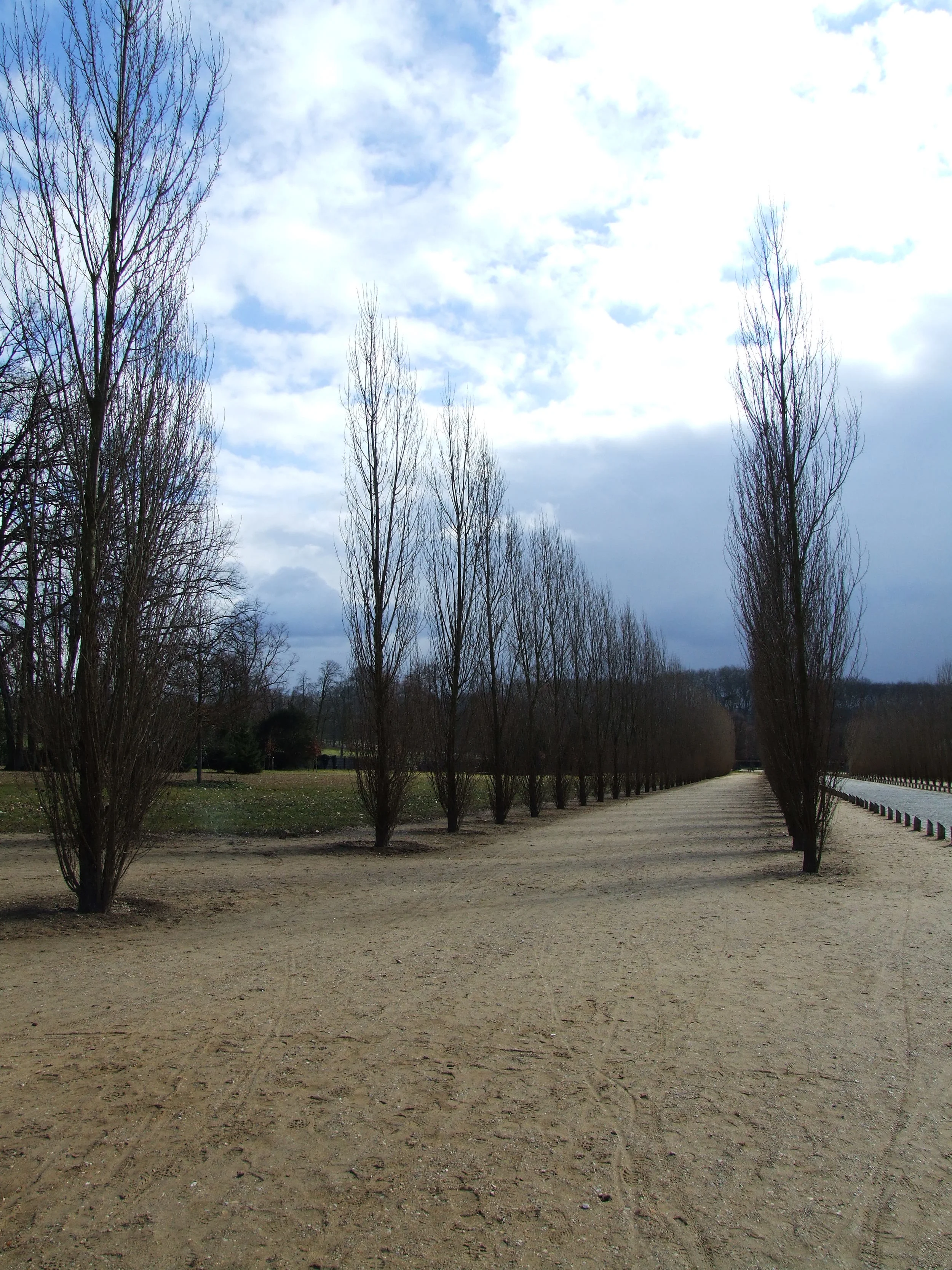 060305-211.JPG