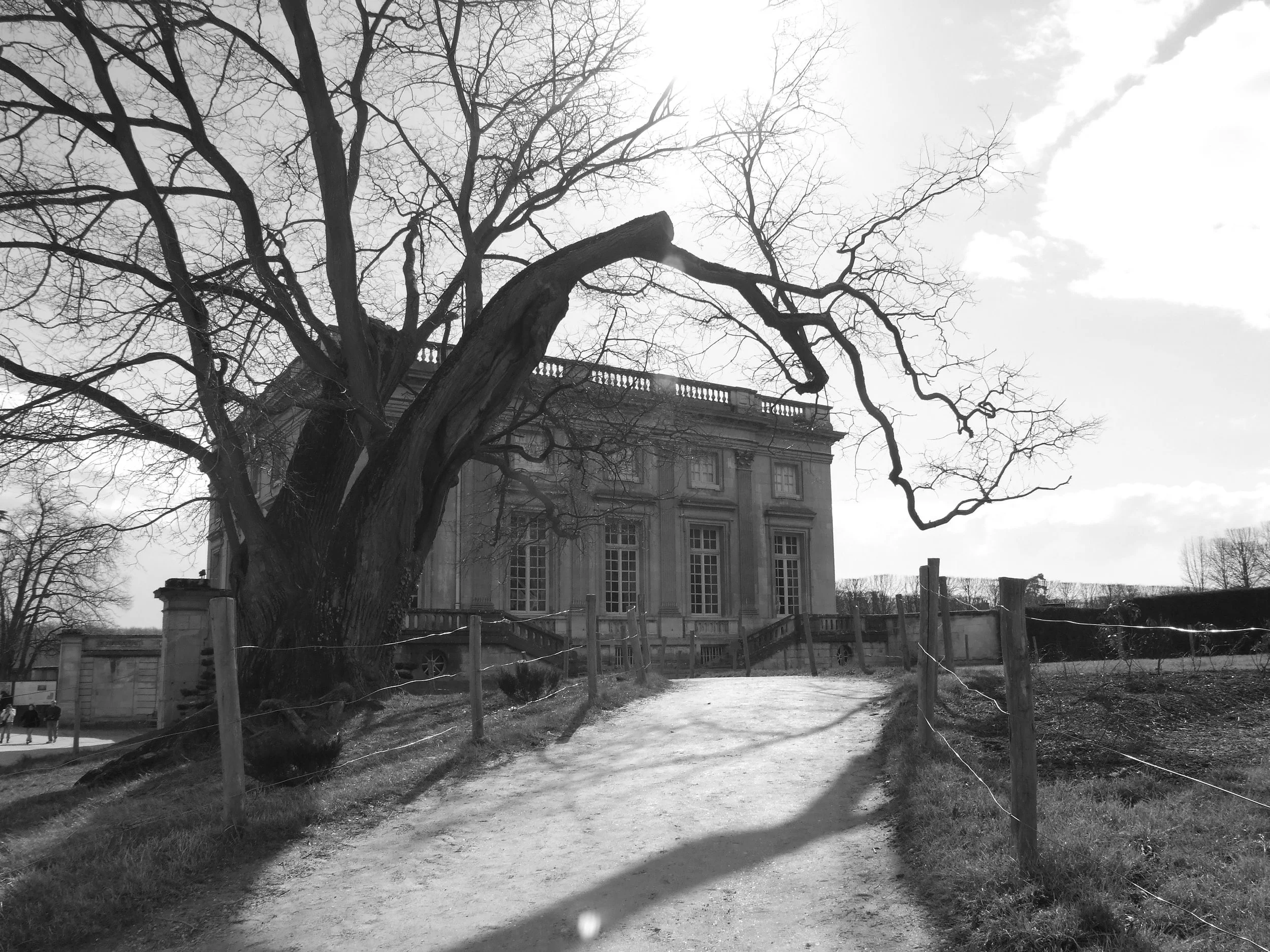 060305-244.JPG