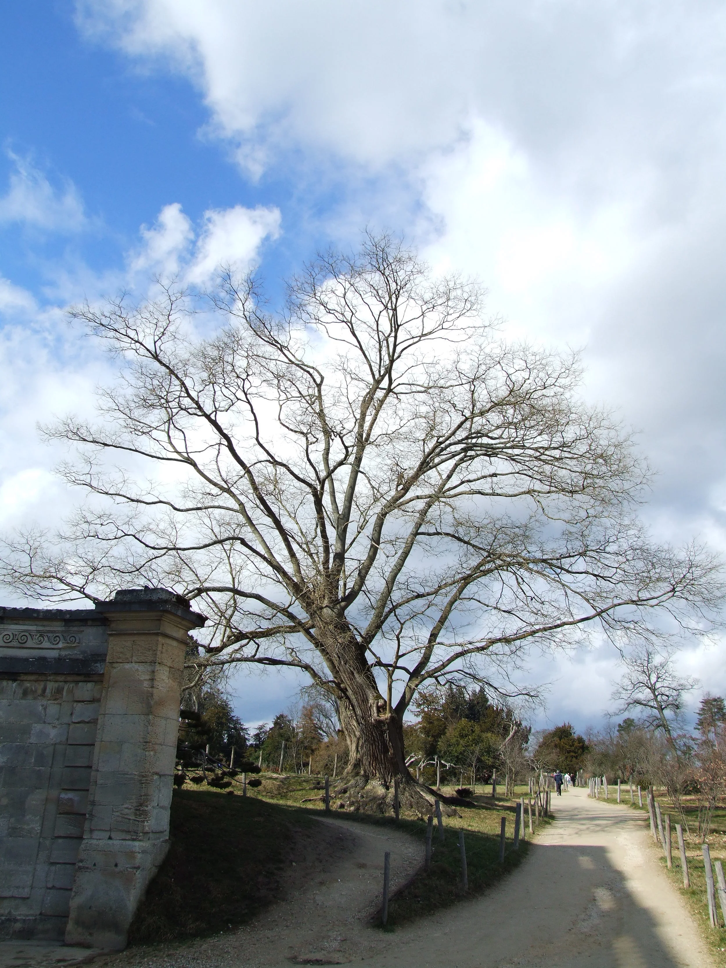 060305-235.JPG