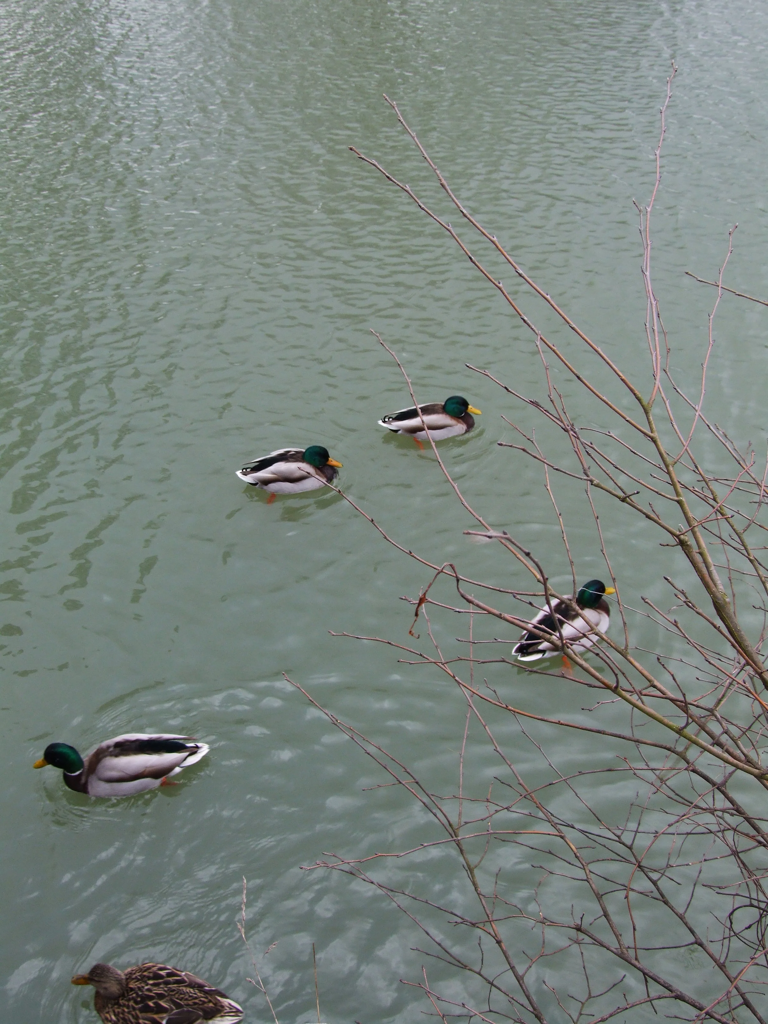 060305-289.JPG