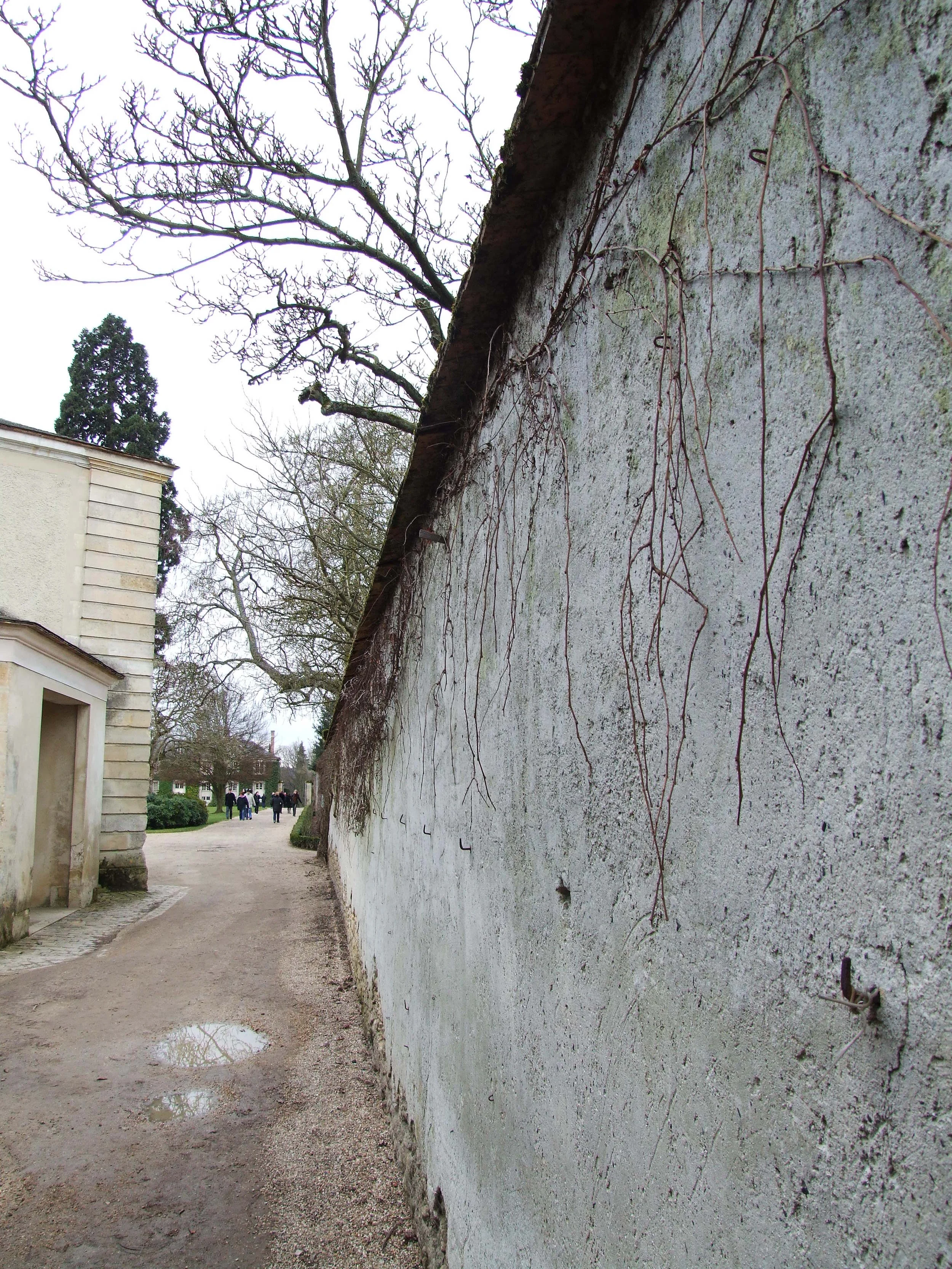 060305-323.JPG