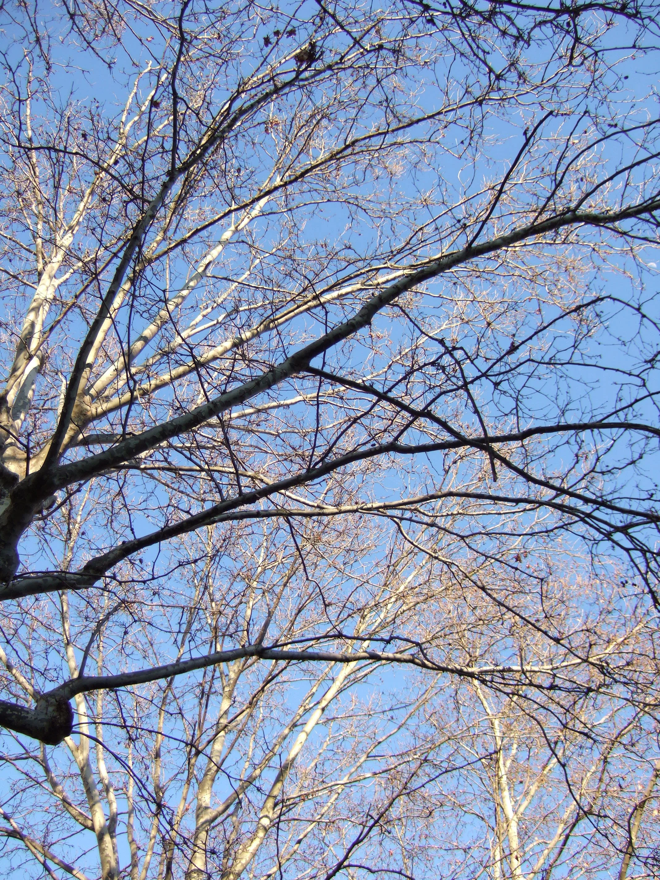 060306-437.JPG