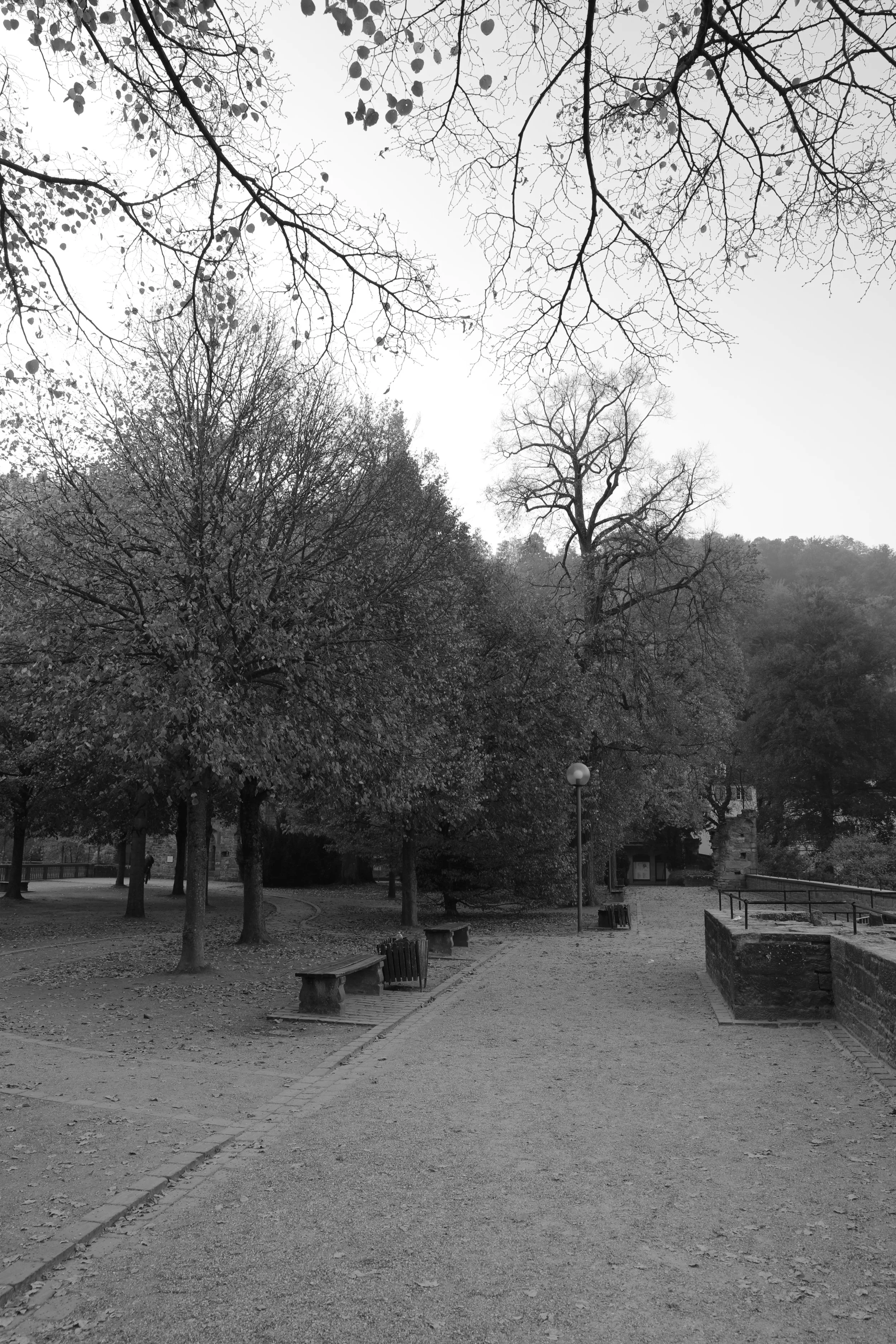 18102008540174.JPG
