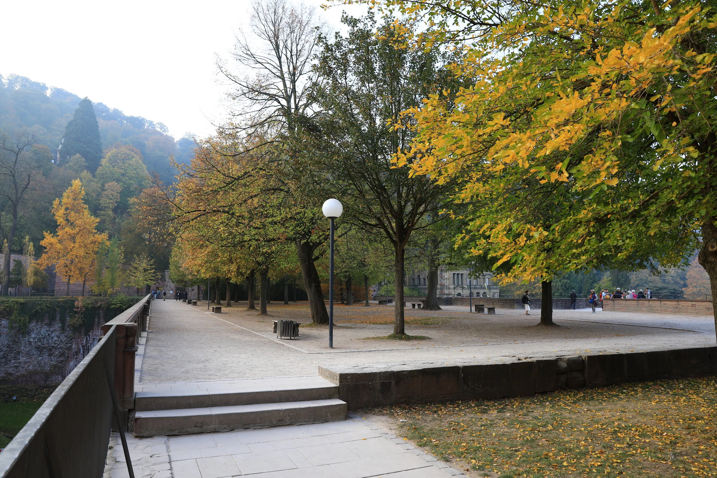 18102008590202.JPG