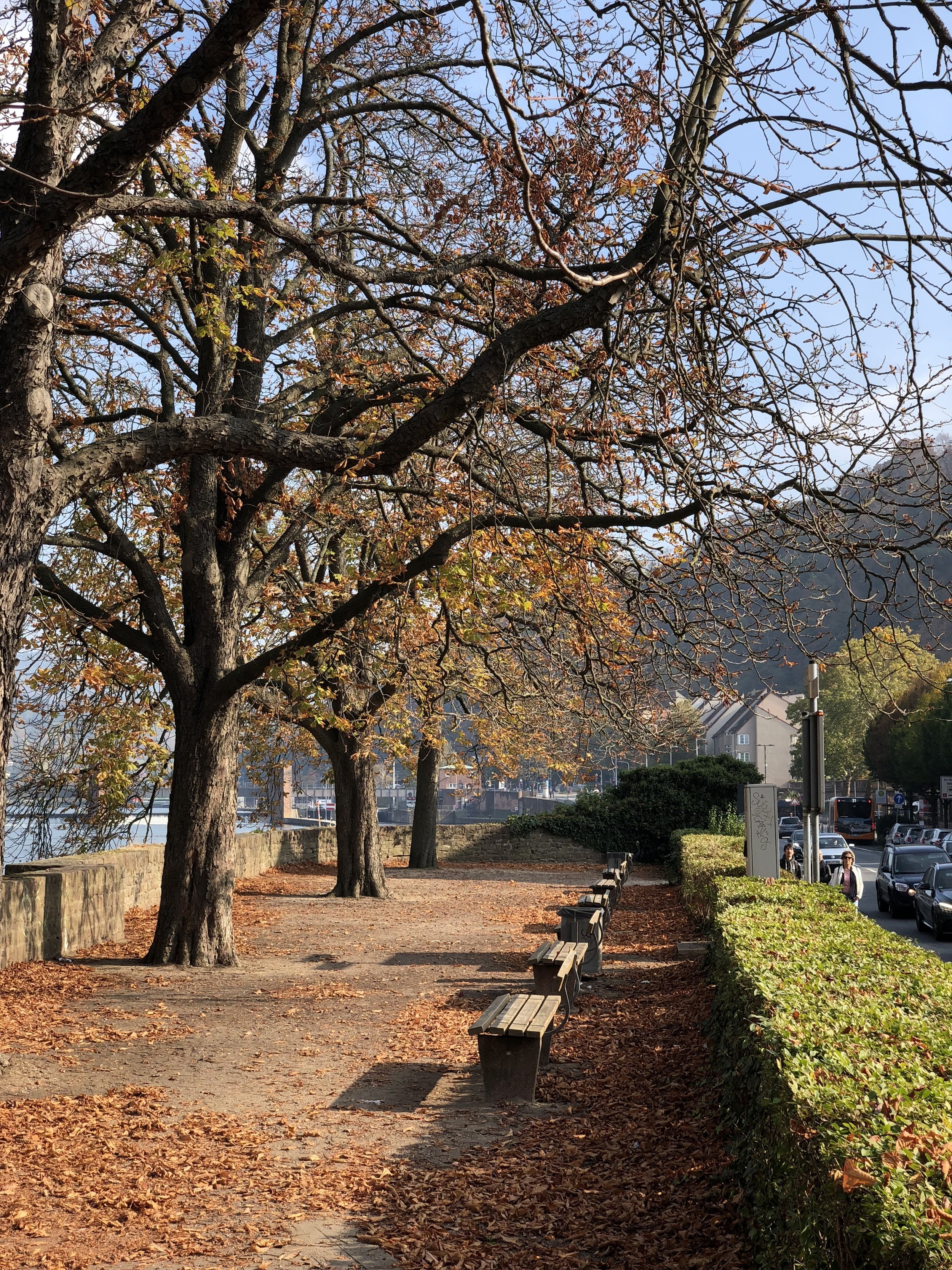 18102012380119P.JPG