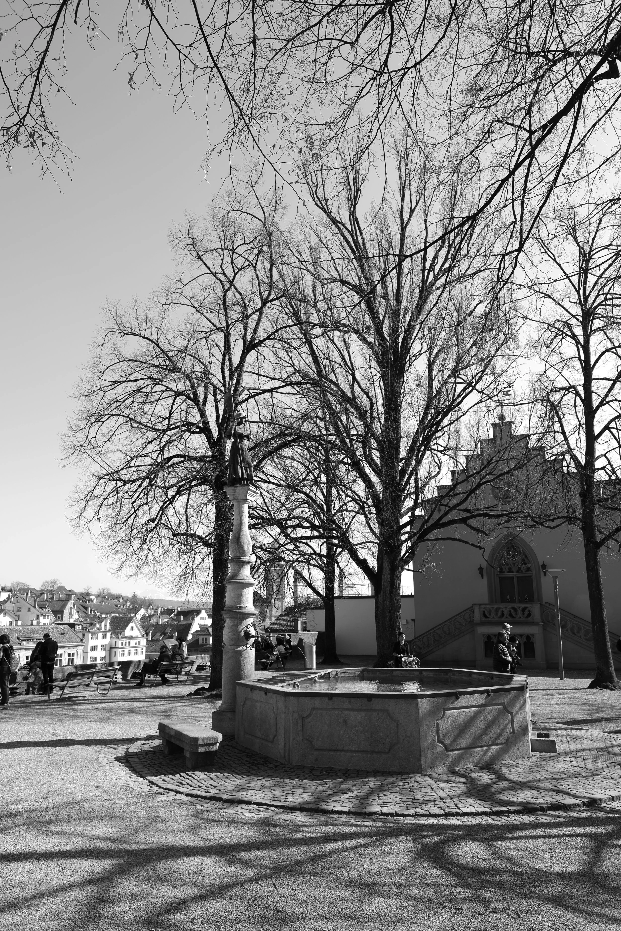 19032915020018-REV.JPG