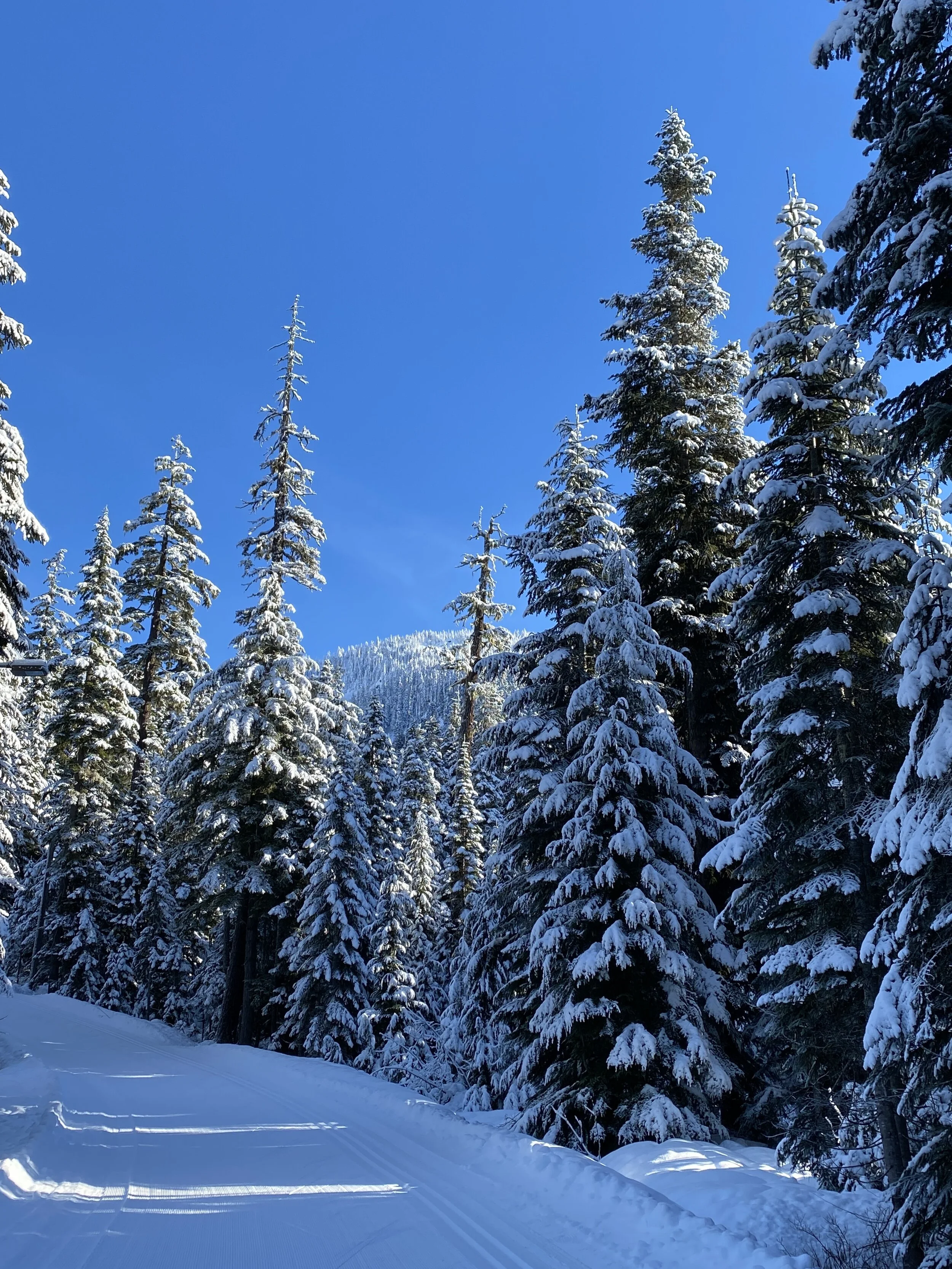 20122211430029P.JPG