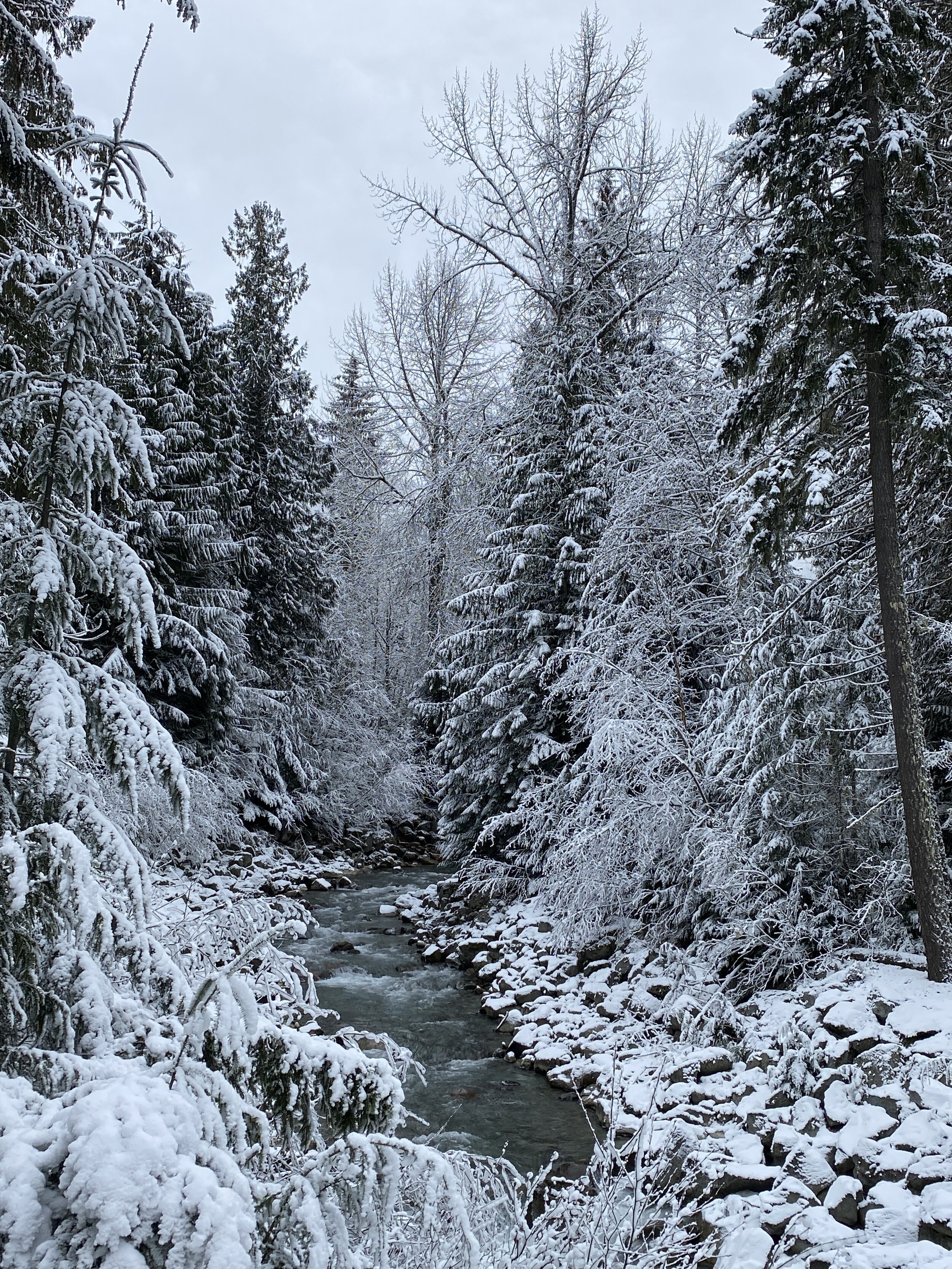 20122312200131P.JPG
