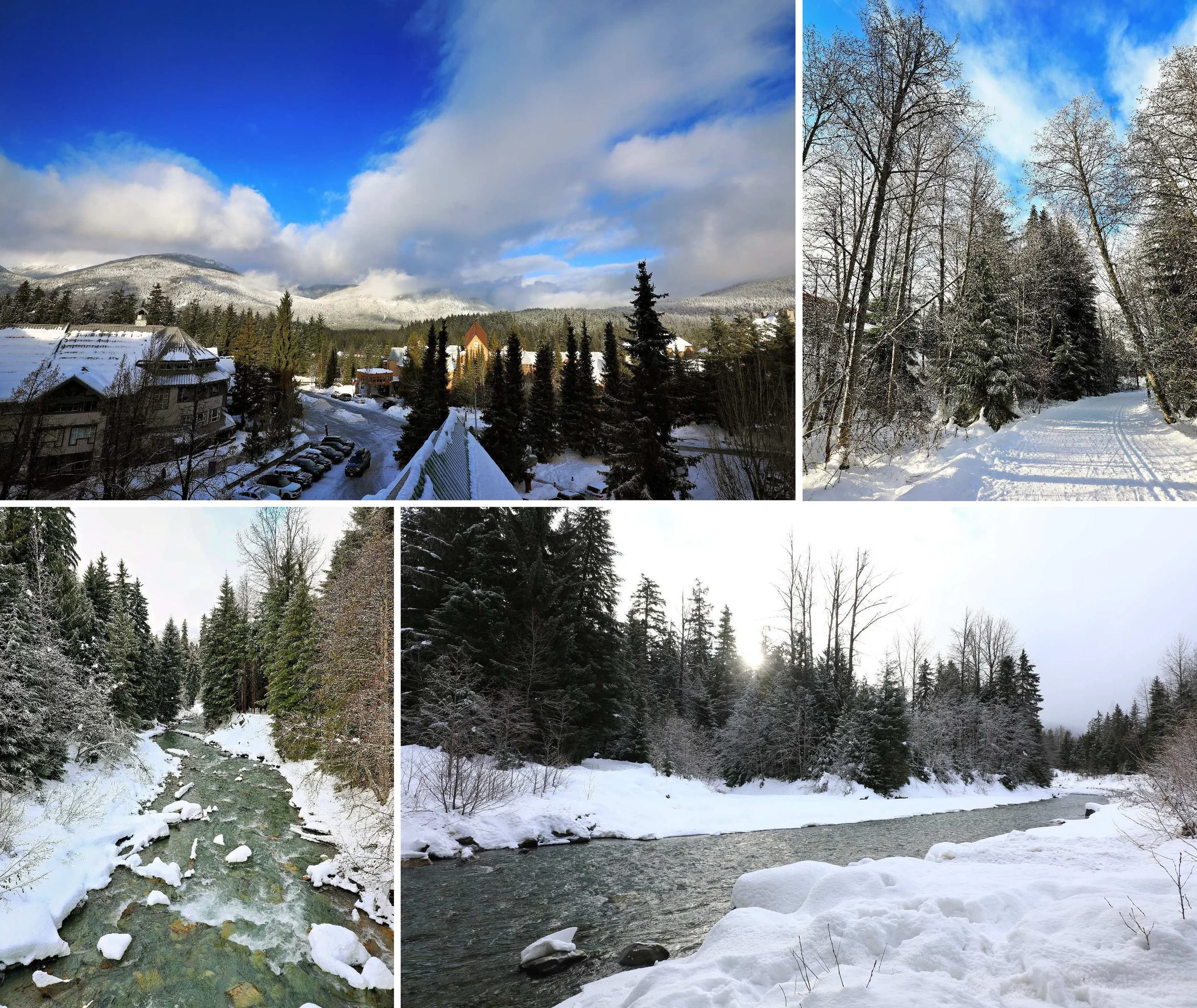 BC ALBERTA 2020-2021_Page_106.jpg