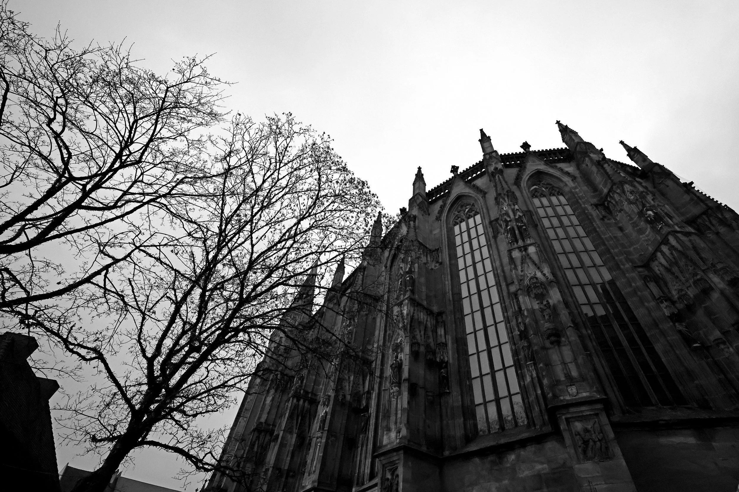 22122507470026-REV-S.JPG
