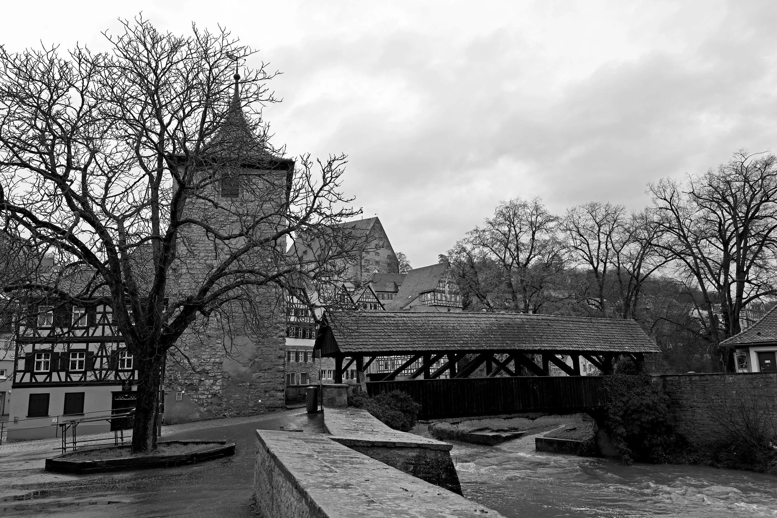 22122614120276-REV-S.JPG
