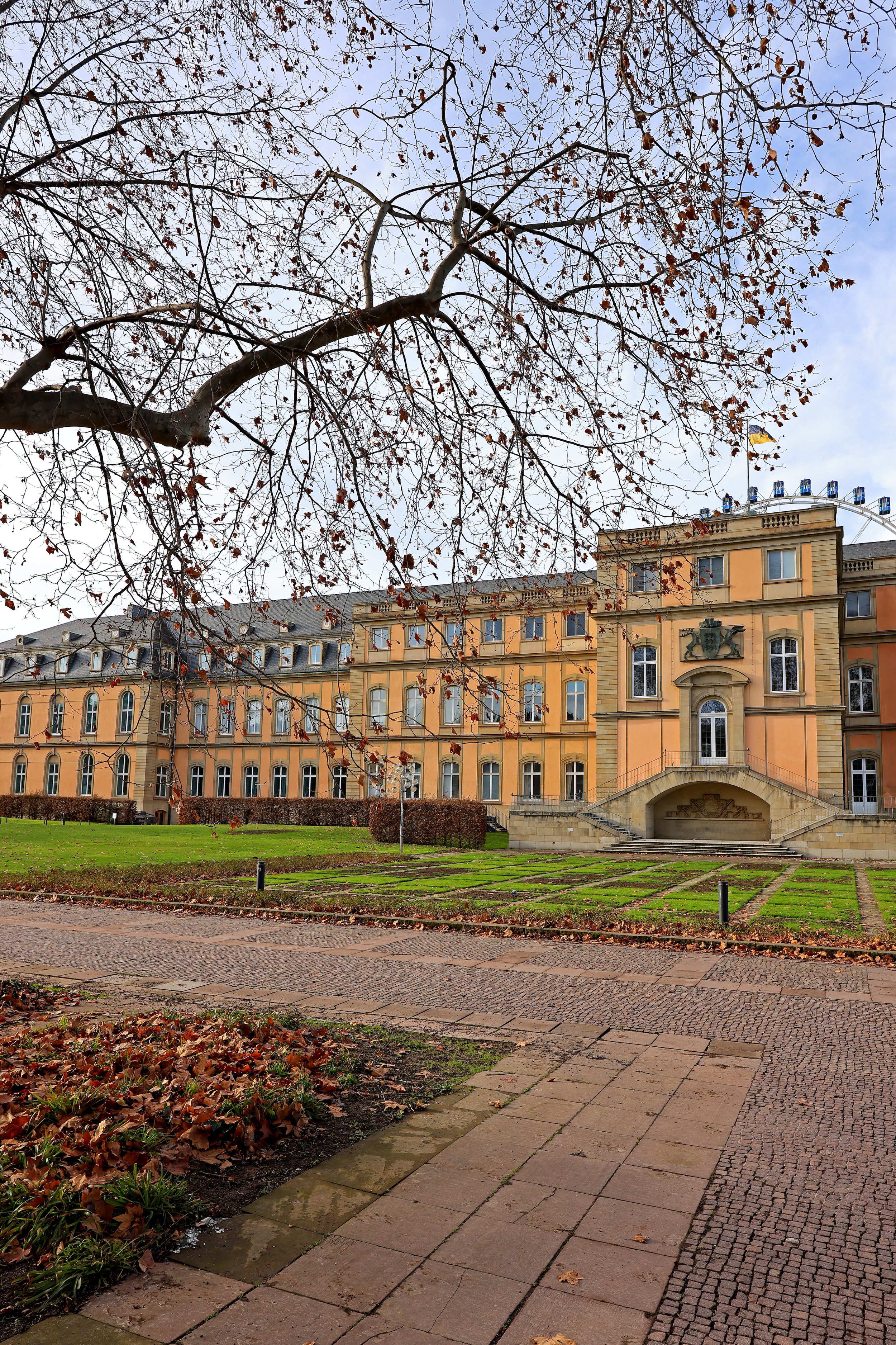 22122713220189-REV-S.JPG
