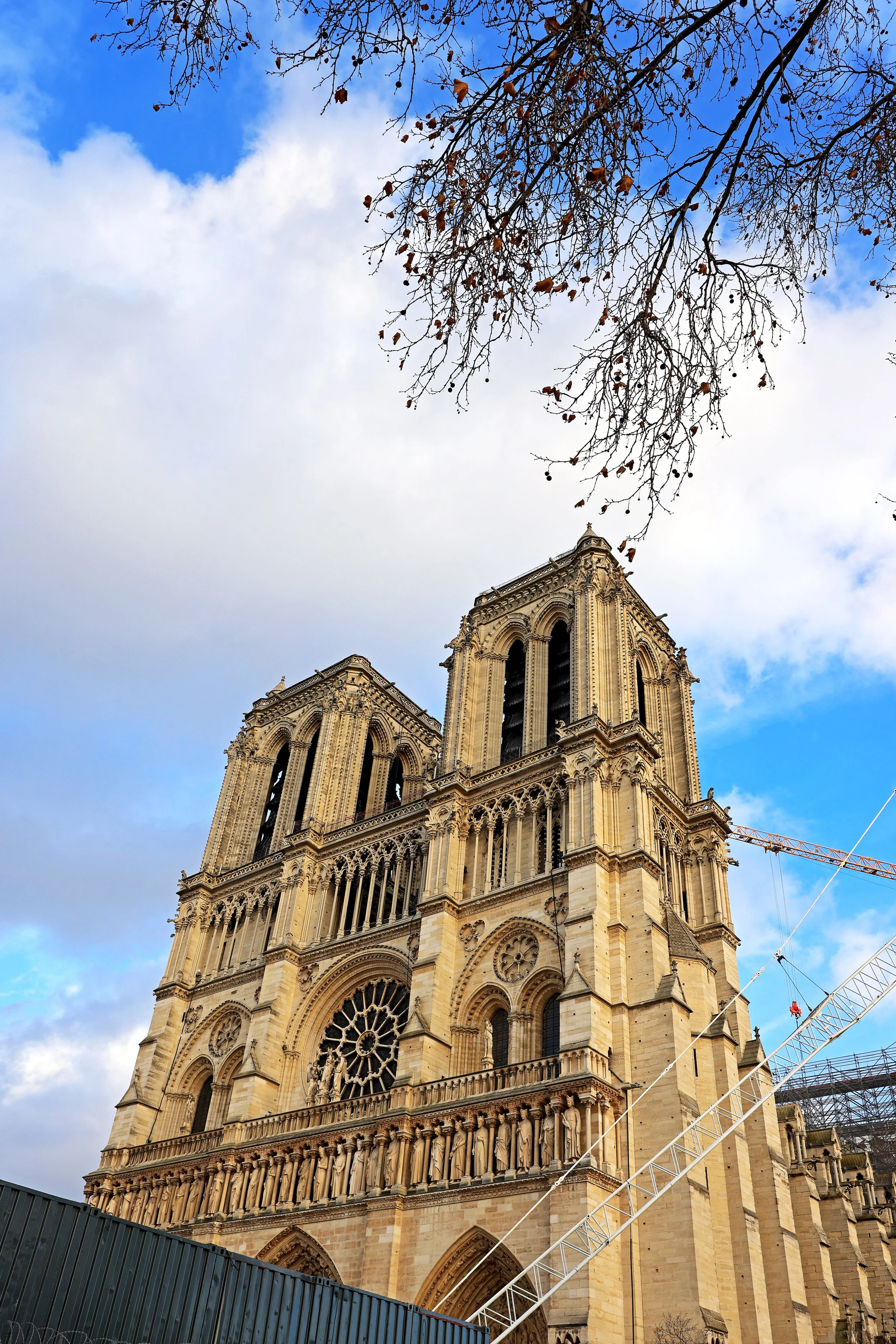 22122915360215-REV-S.JPG