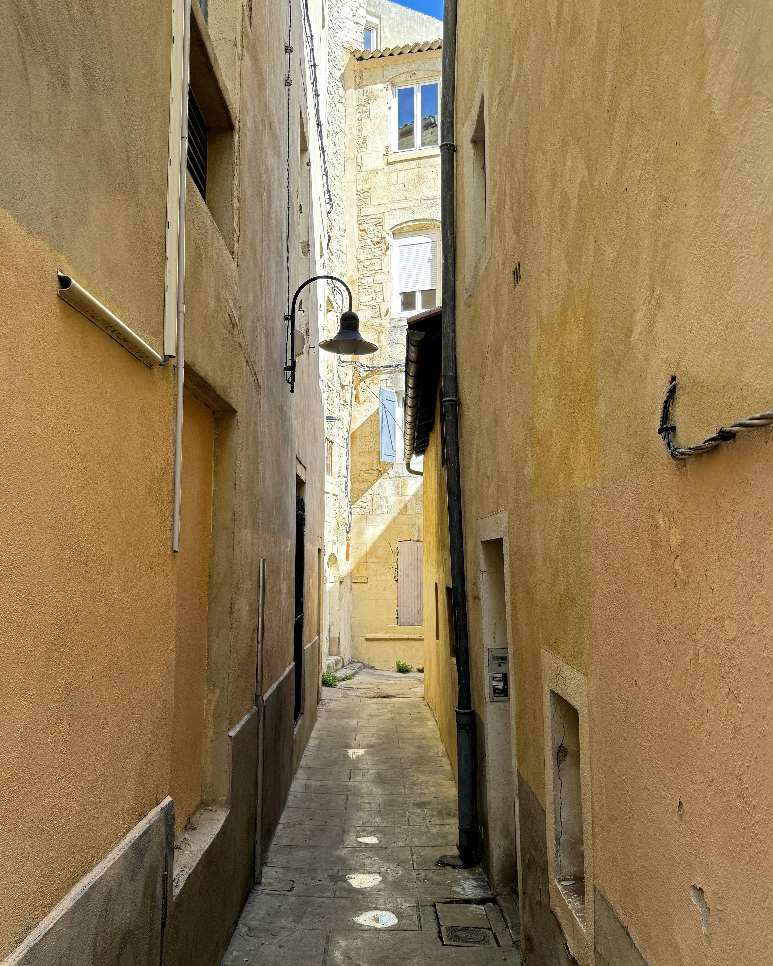 24031910590136P-REV.JPG