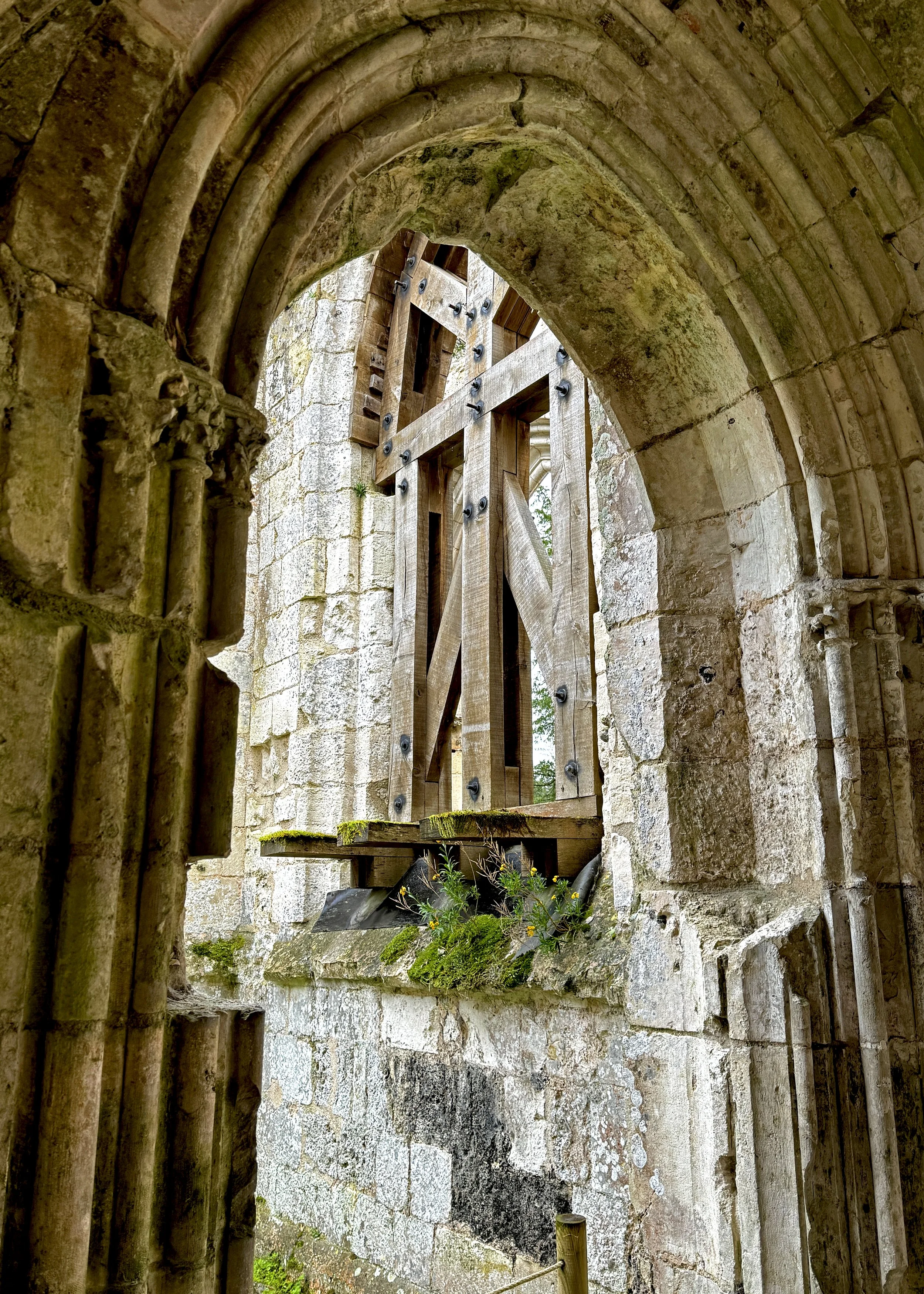 24032611510093P-REV.JPG