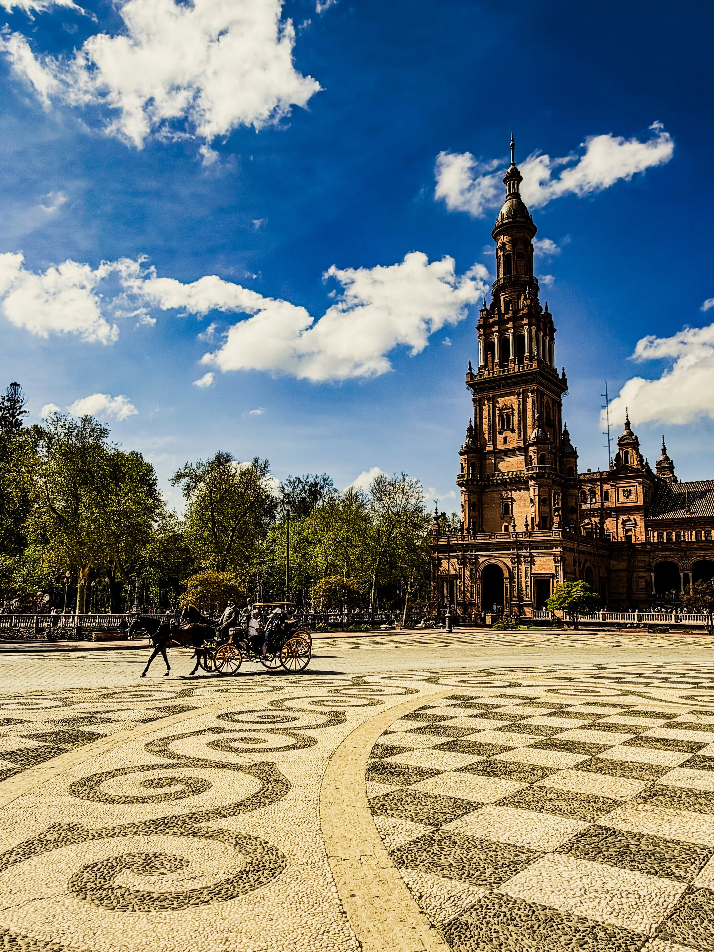 26032115230297P-REV-S.jpg