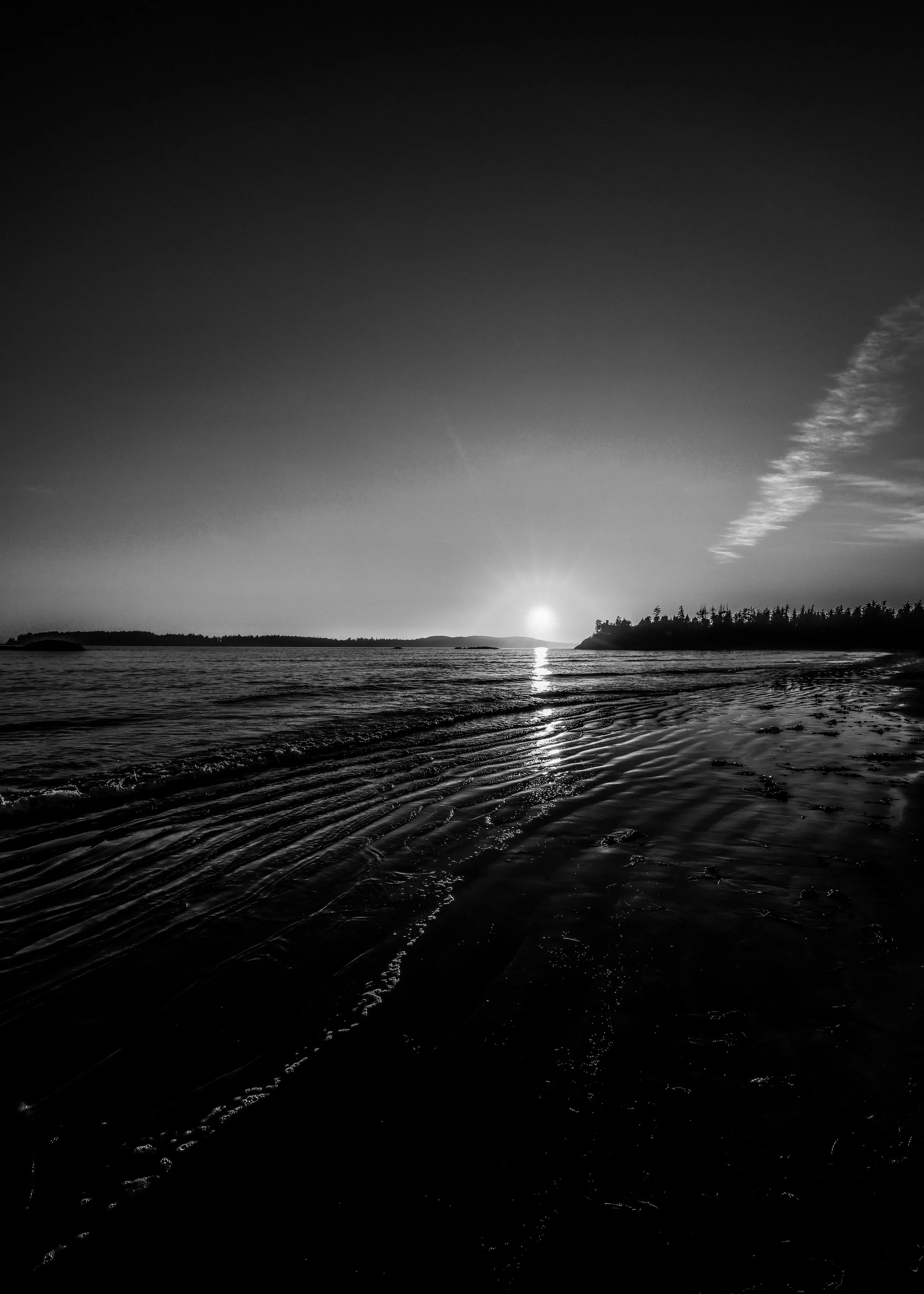 26062821050159-REV-S.jpg
