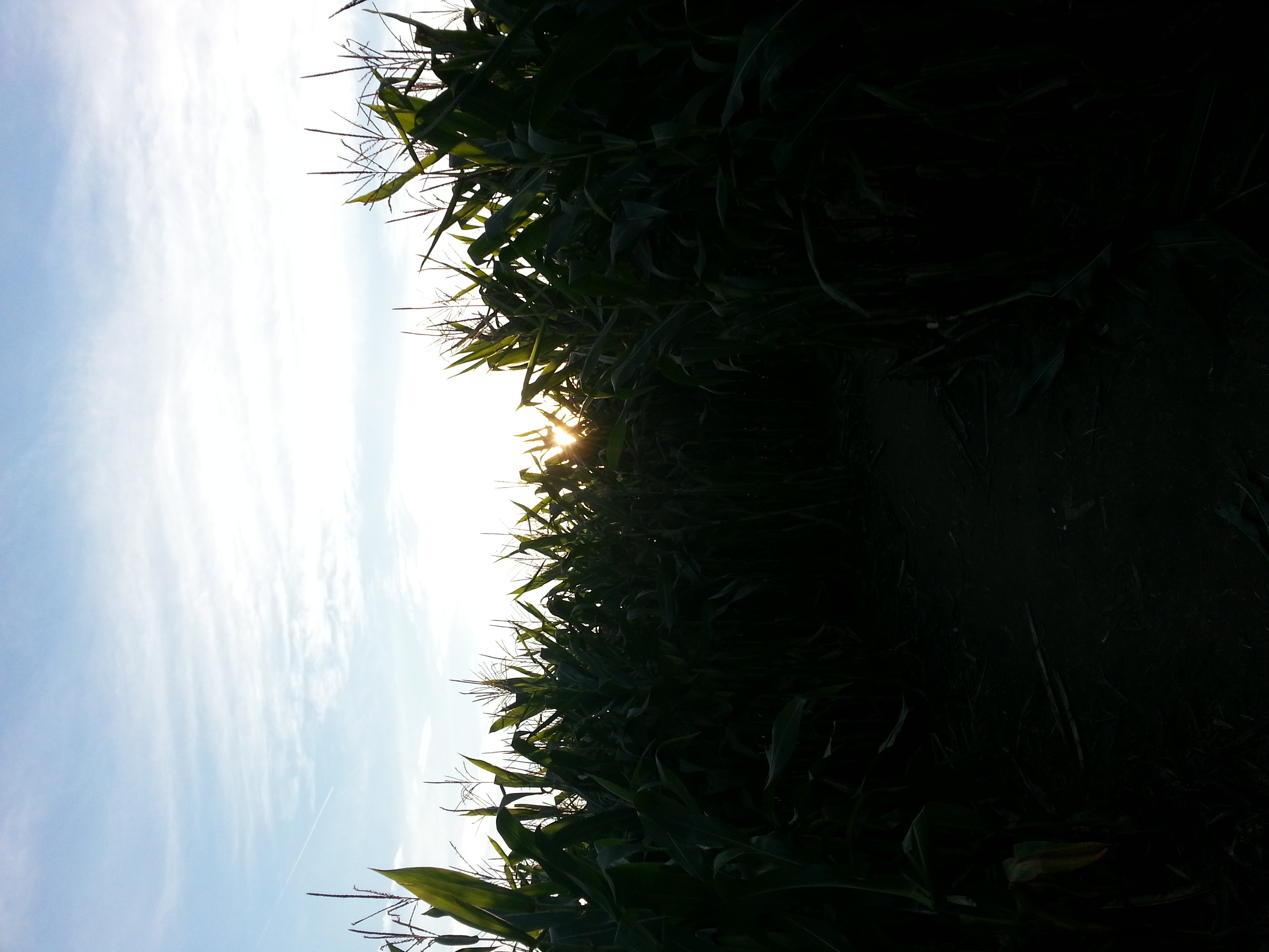 20130928_183043.jpg