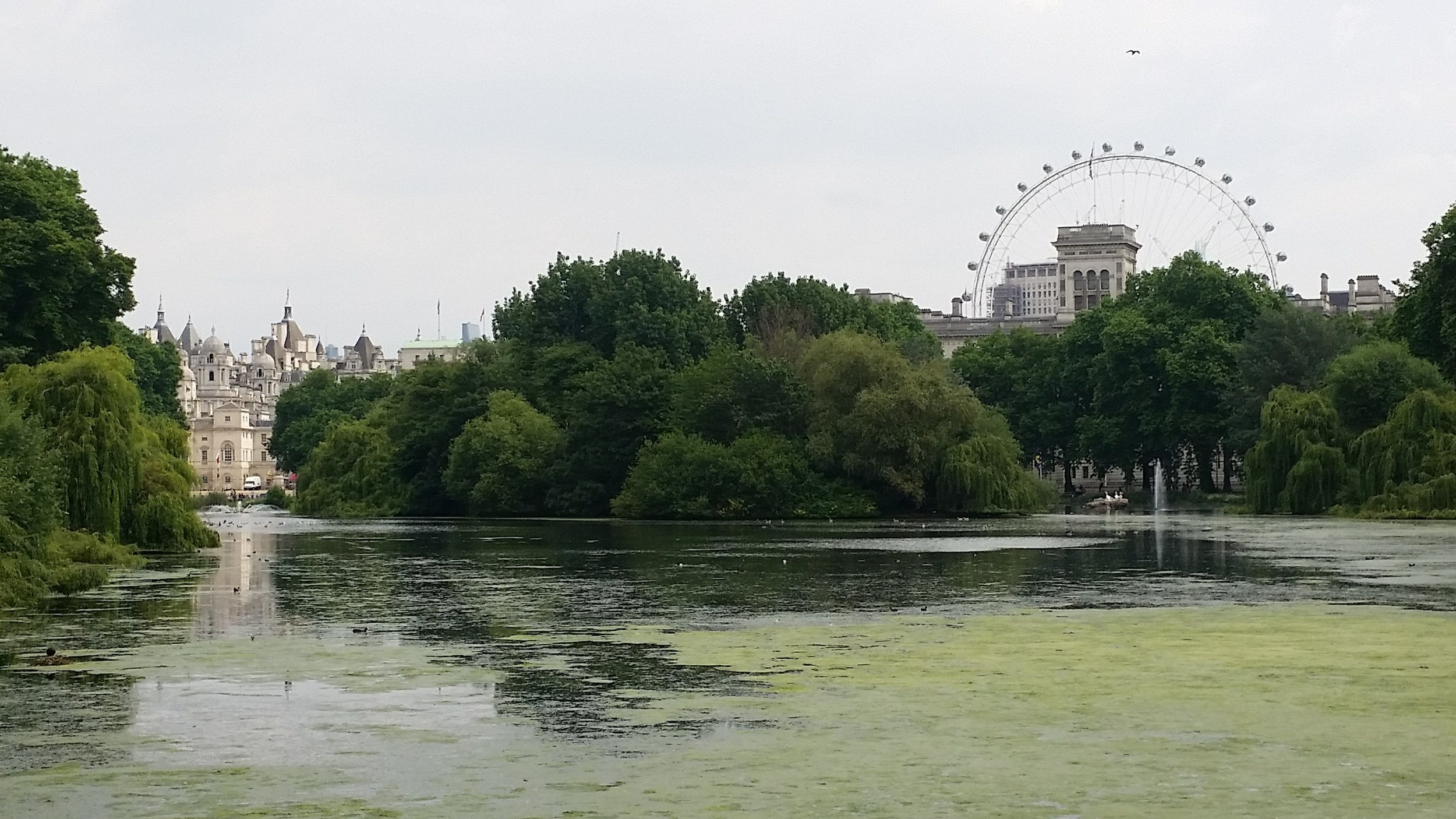 St. James Park