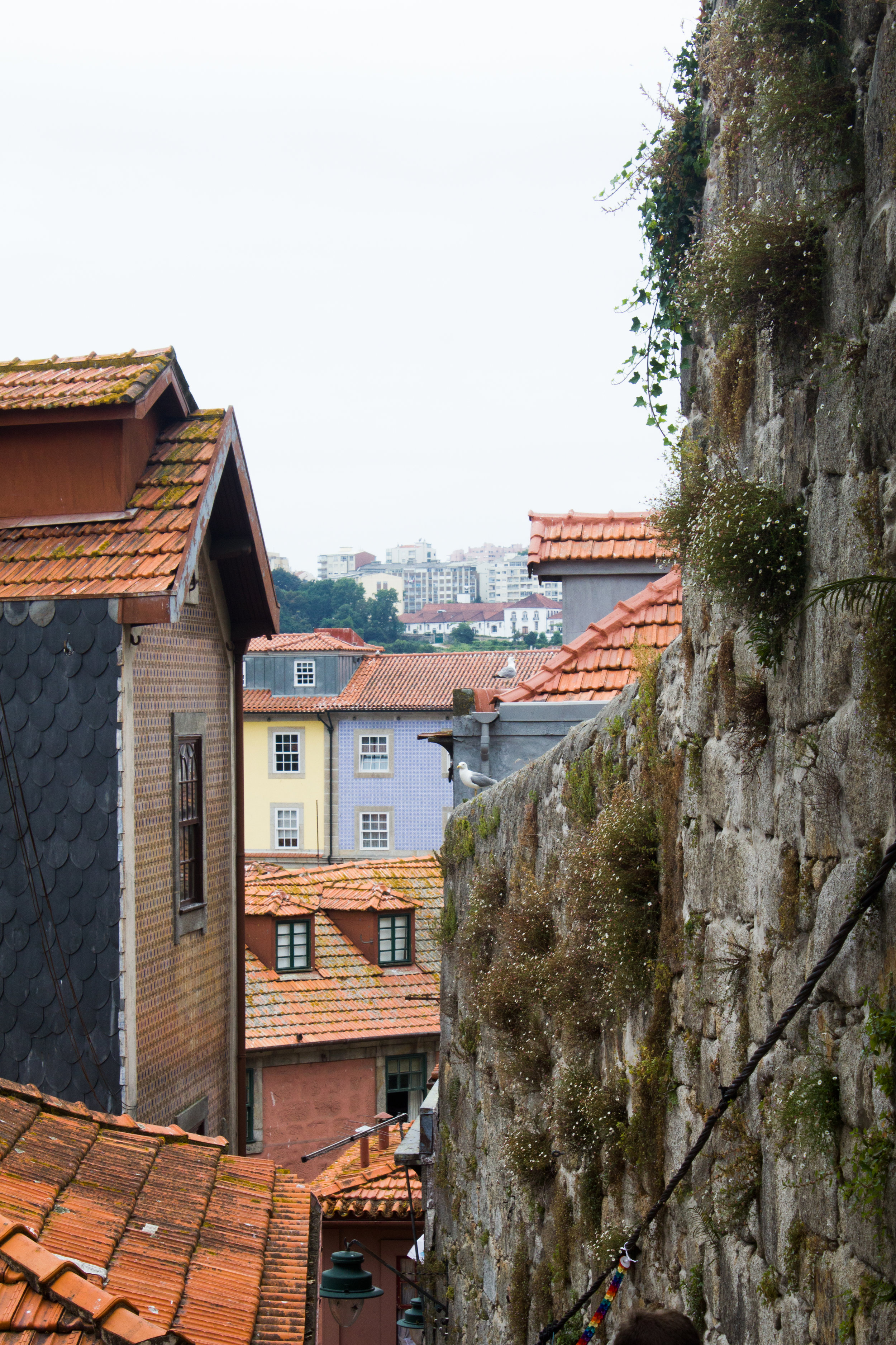 Porto, I love you.