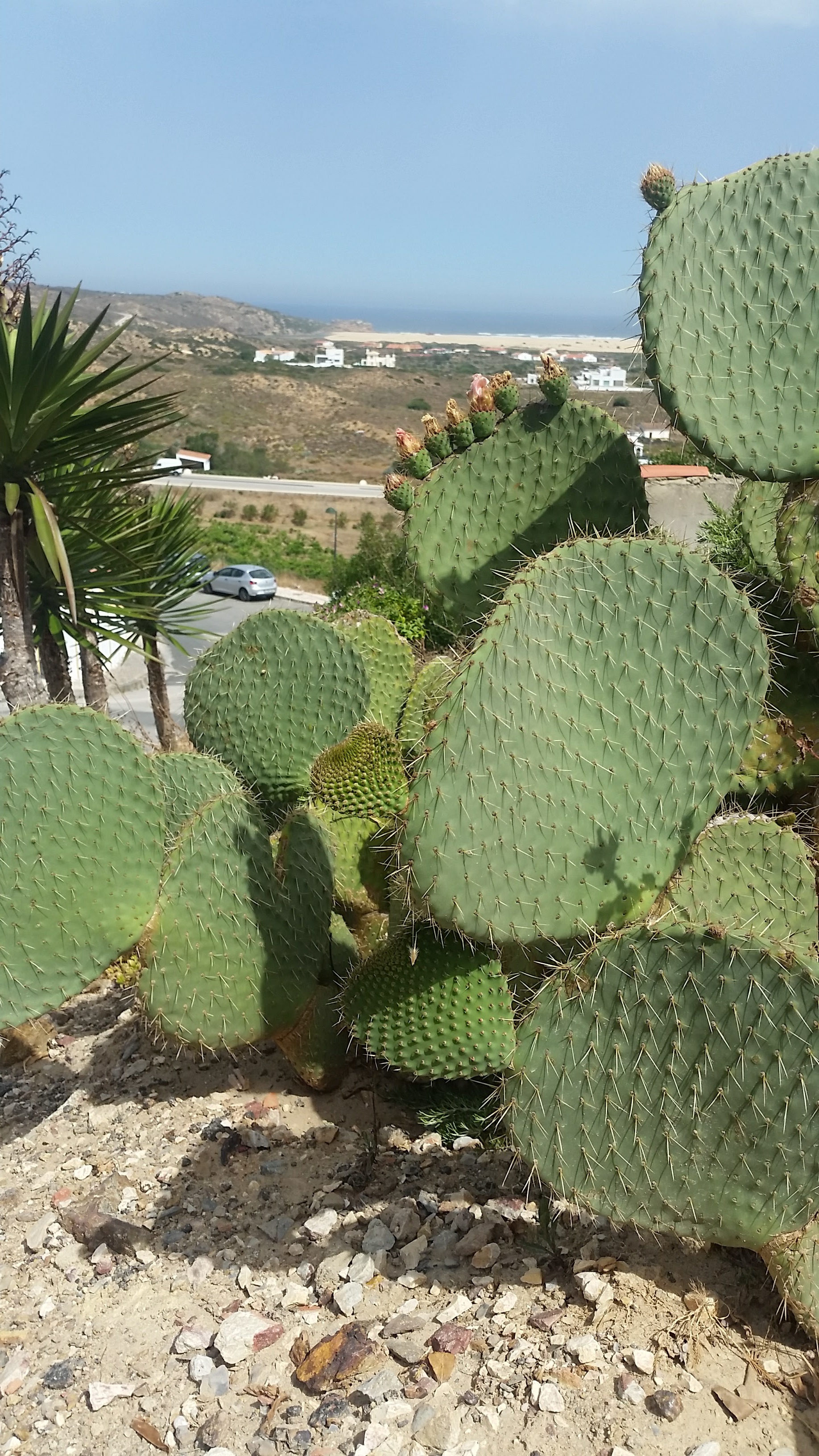 20170712_113004.jpg