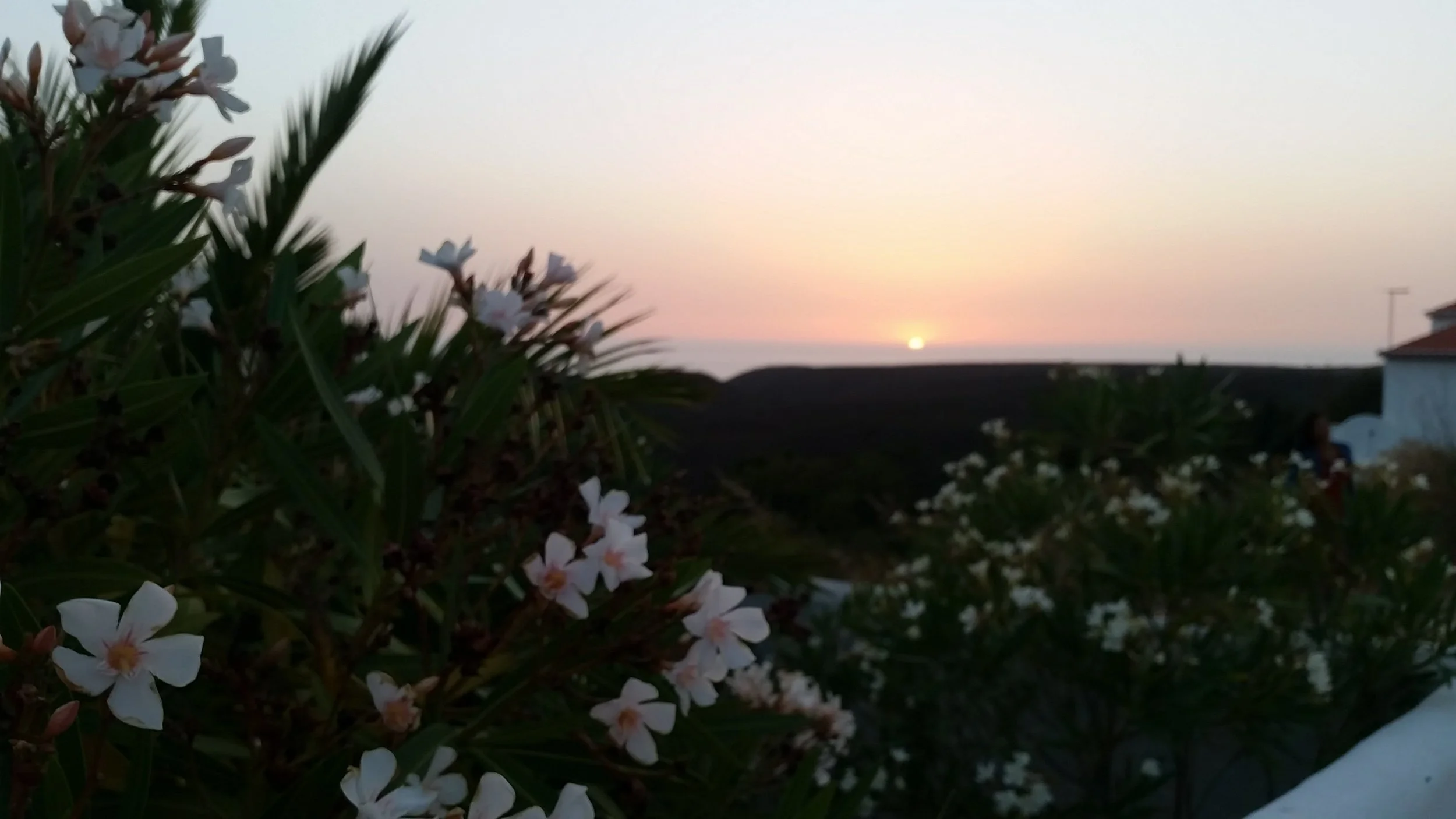 20170712_205535.jpg
