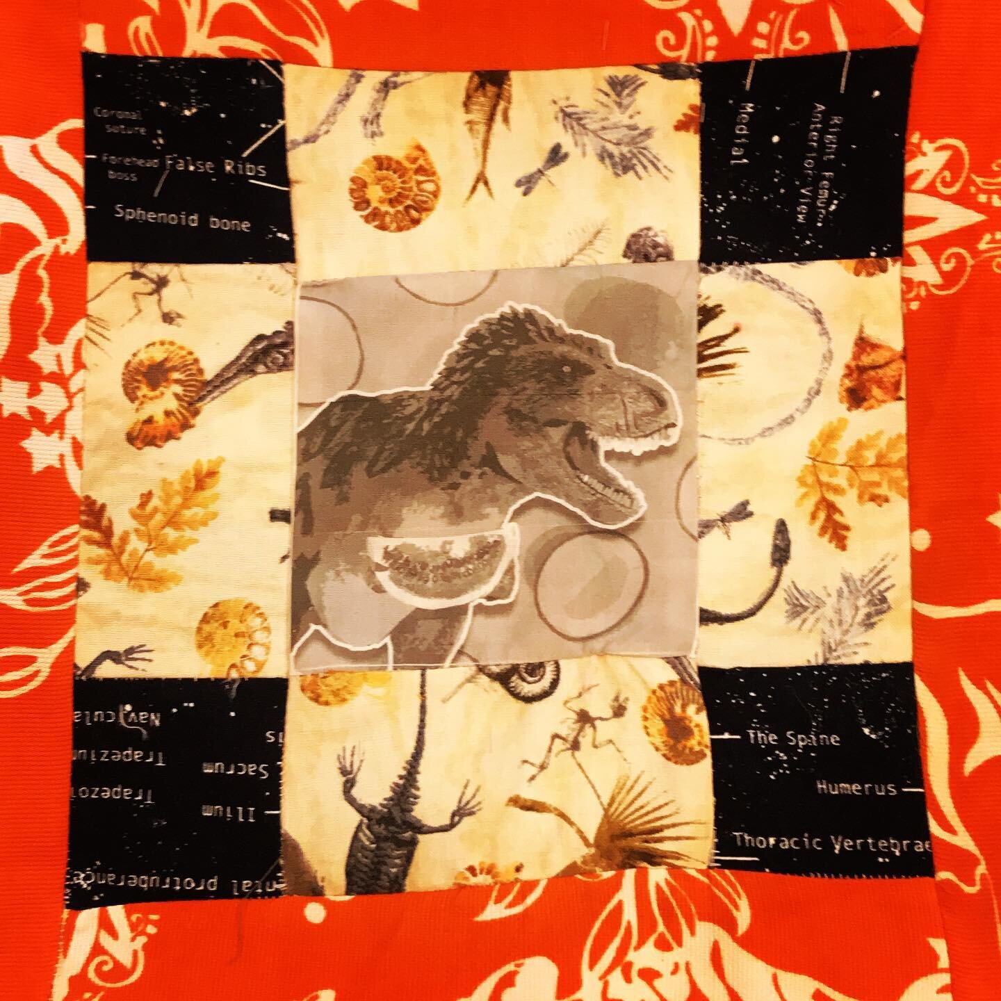 My contribution to @cartercountymuseum community quilt! The center block is my original artwork printed on fabric. #quiltblock #quilting #communityquilt #dinosaur