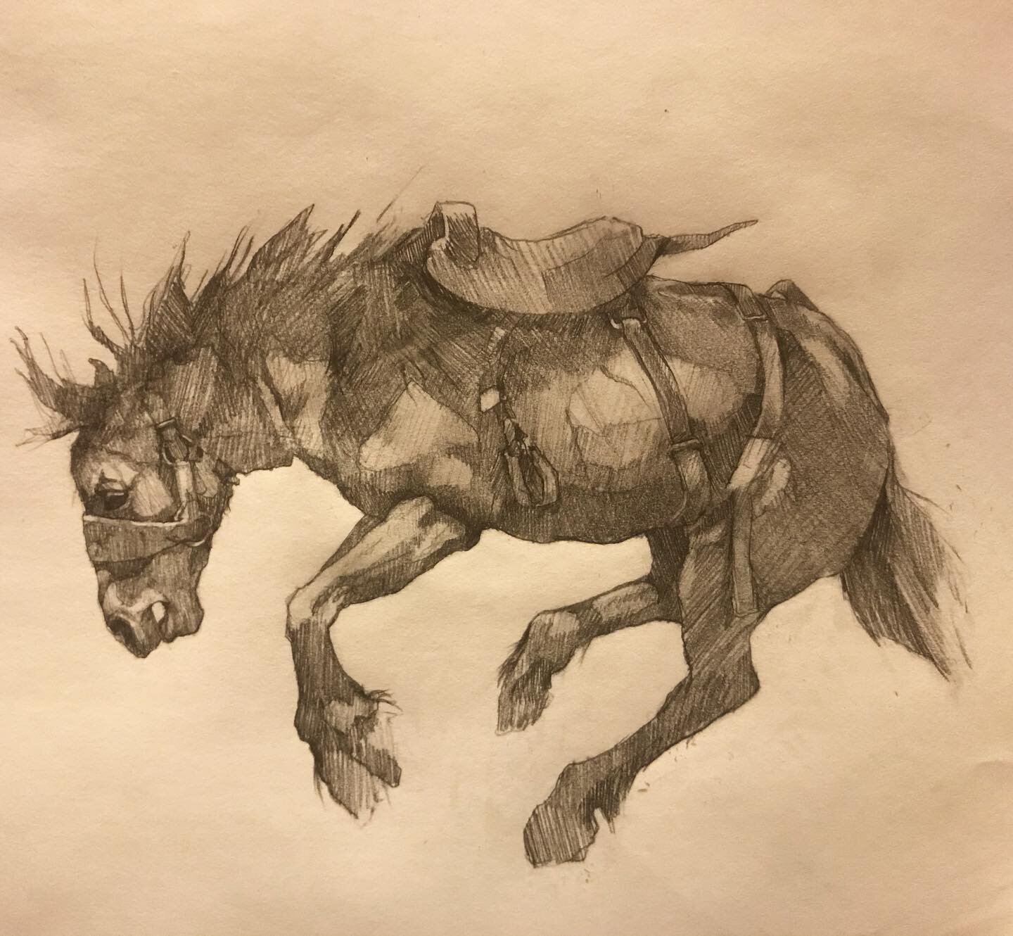 Not enough drawing occurred this year. 

#rodeo #sketch graphiteonpaper #horsey