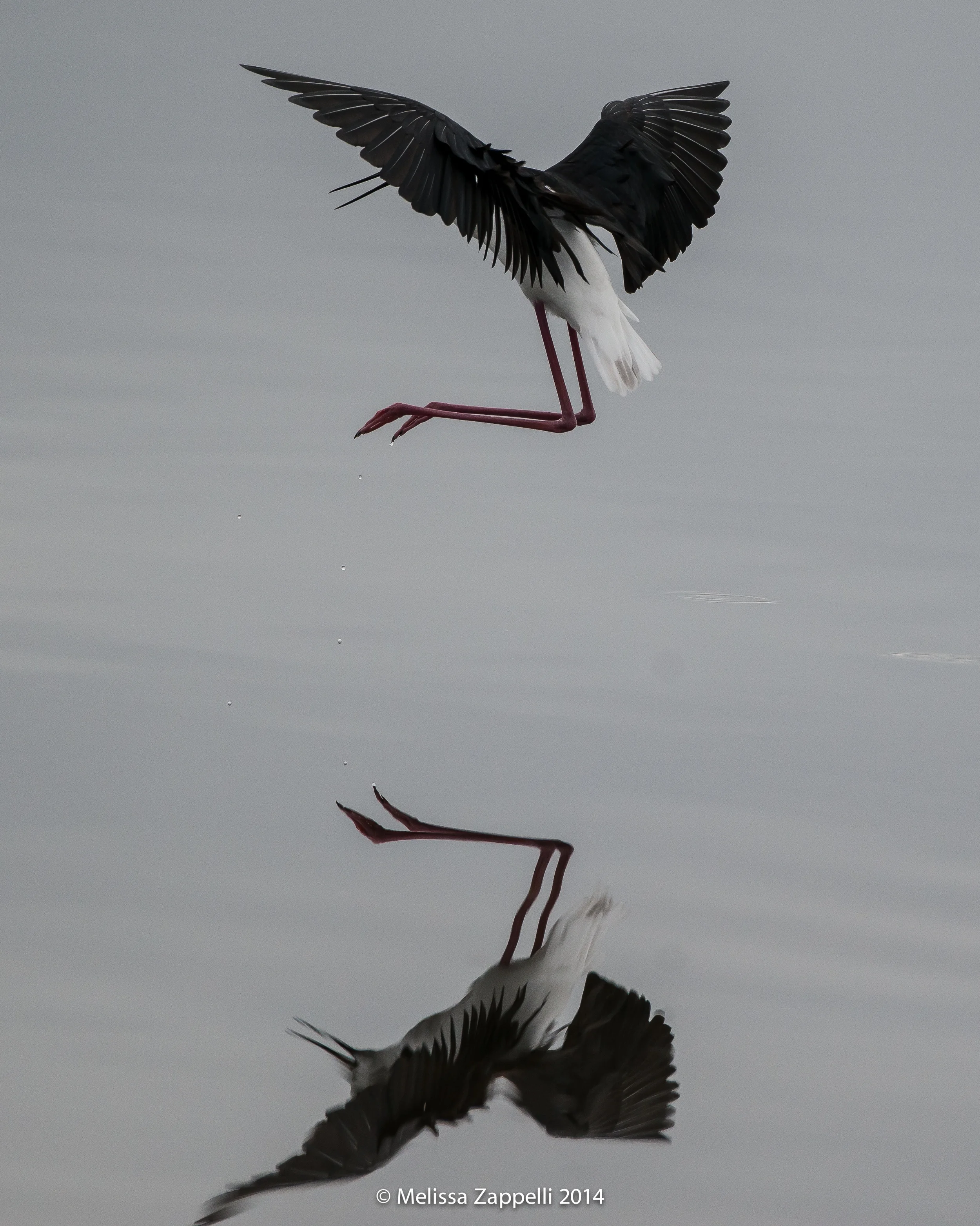 AReflections-6605.jpg