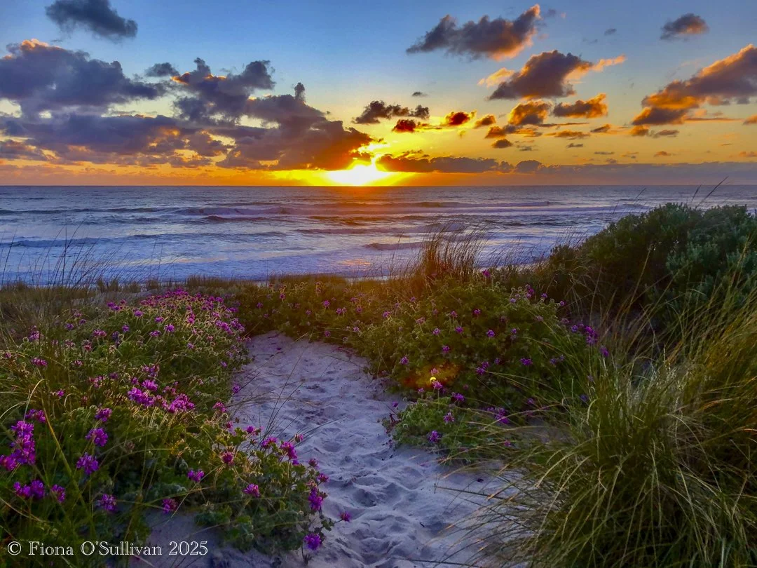 Sunset at Windy Harbour - Fiona O'Sullivan