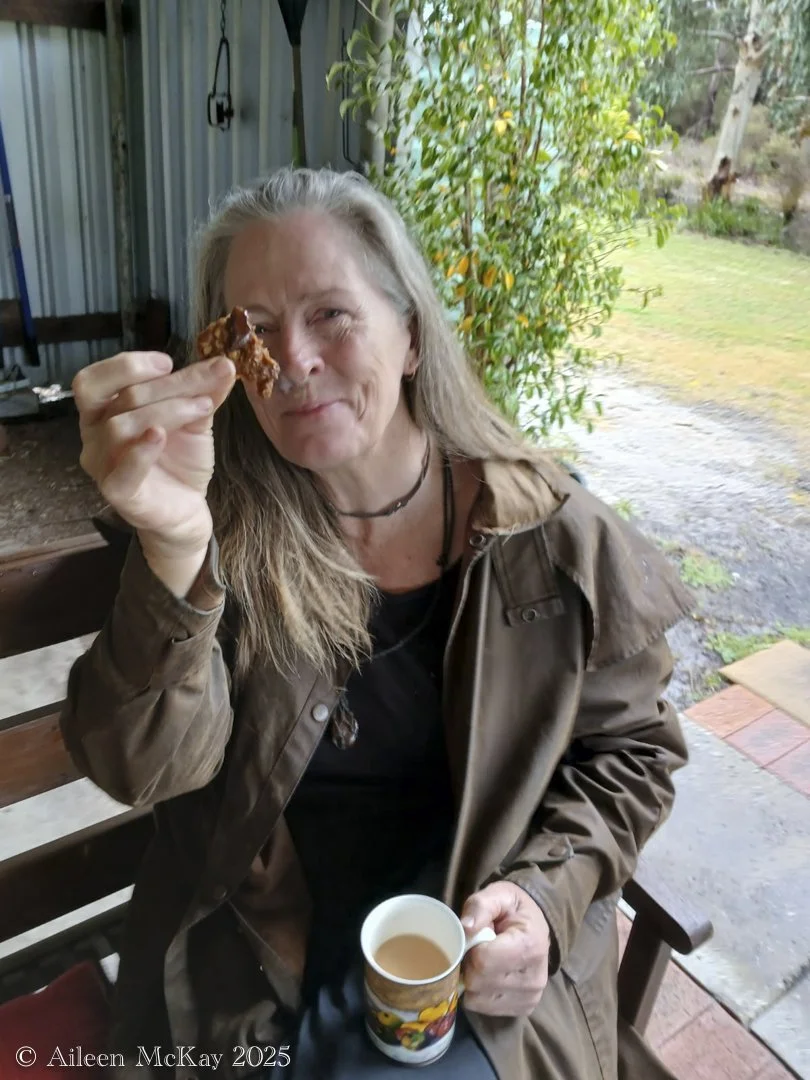 Morning Tea at Mel's Farm - Outside the Shack