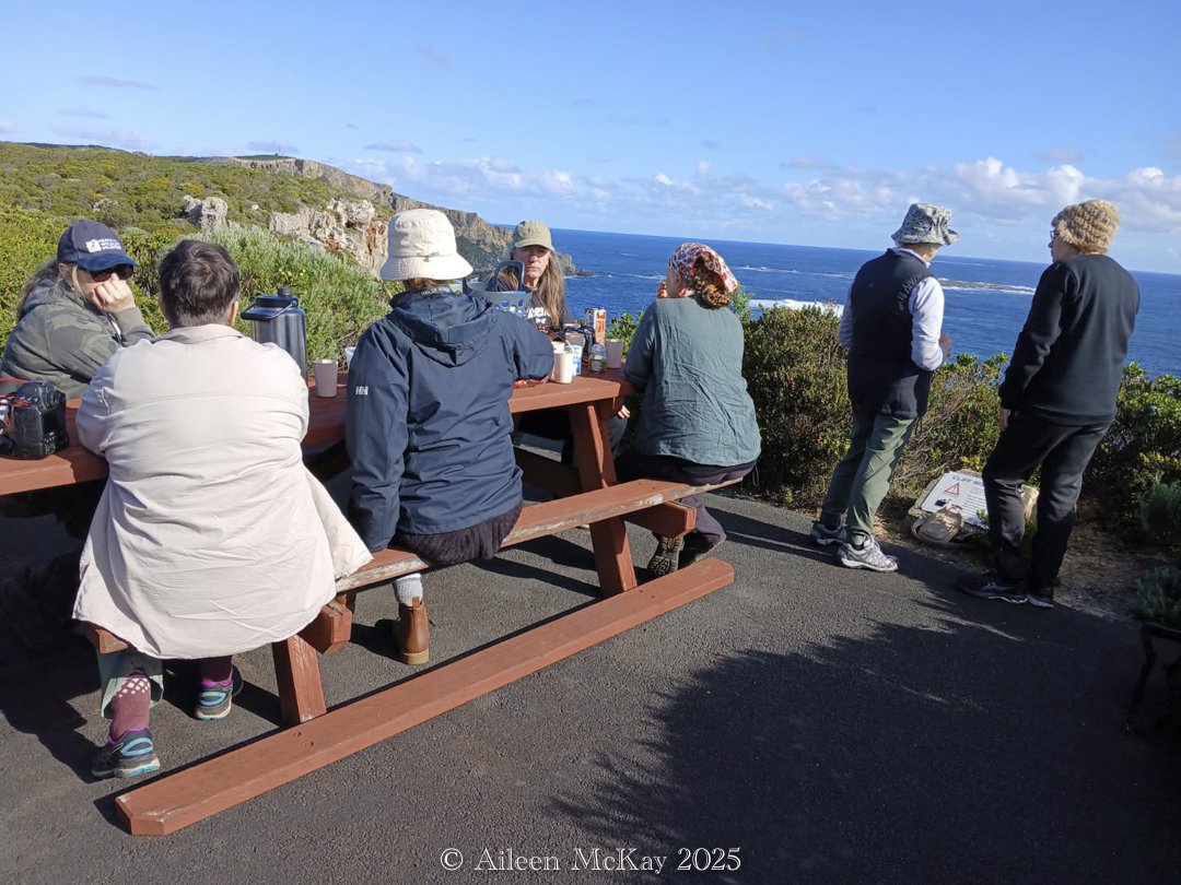 Picnic at Tokalup Lookout - Humback Whales out in the Ocean