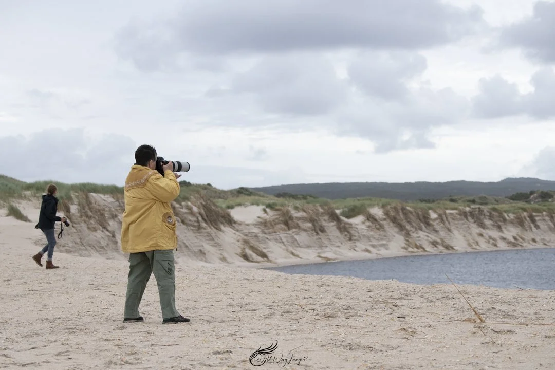 Birds, Landscapes, Plants