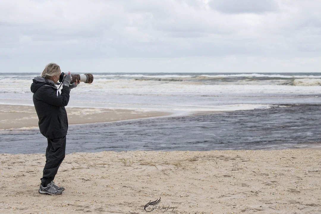 Sue Photographing Birds