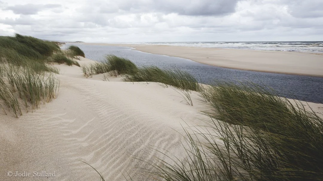 Warren River Meets the Ocean - Jodie Stallard