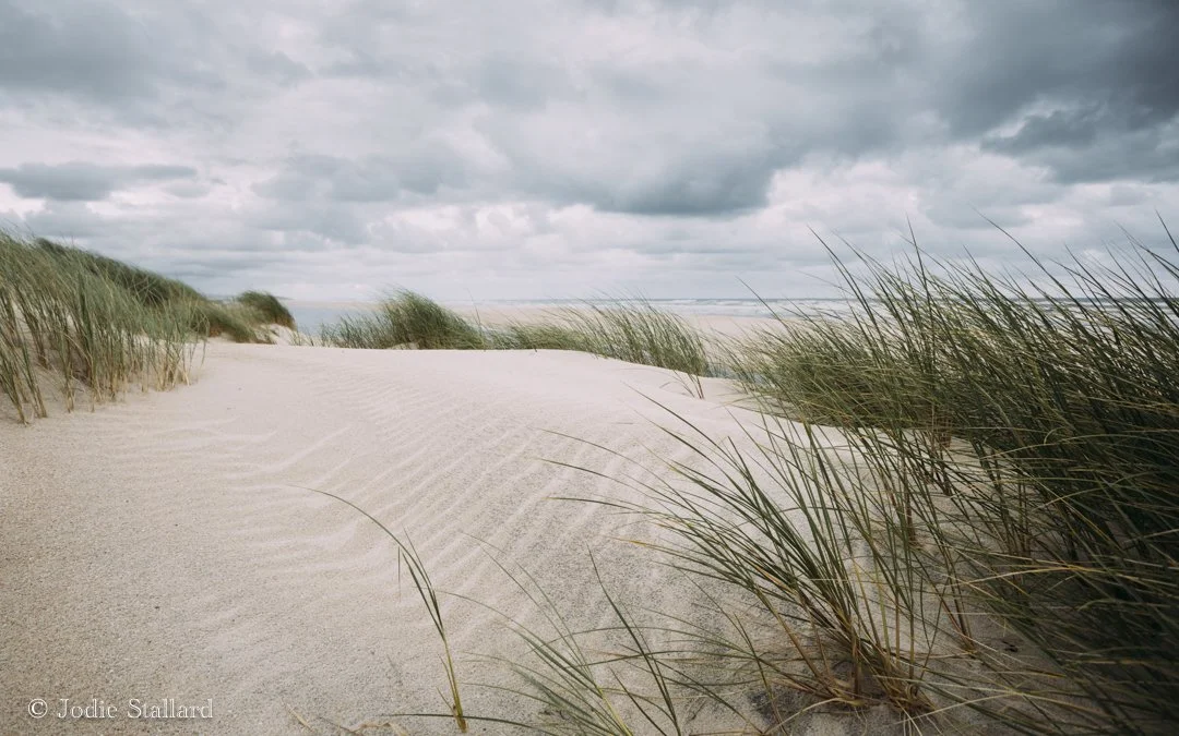Dunes - Jodie Stallard