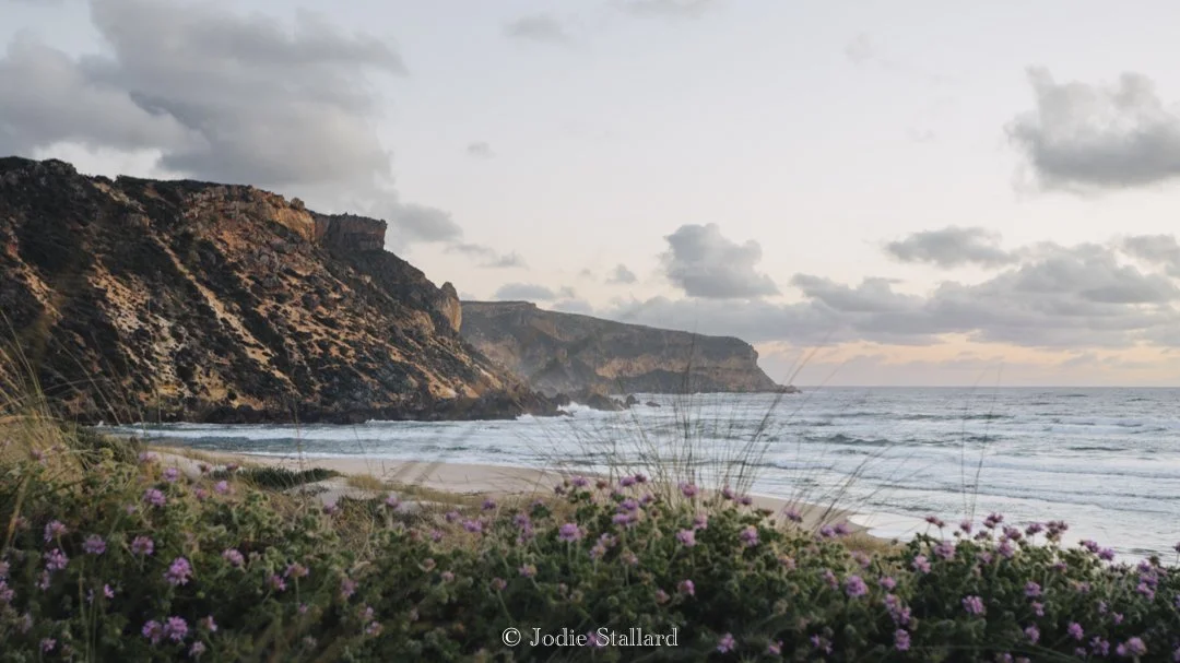 Golden Hour at the Beach - Jodie Stallard