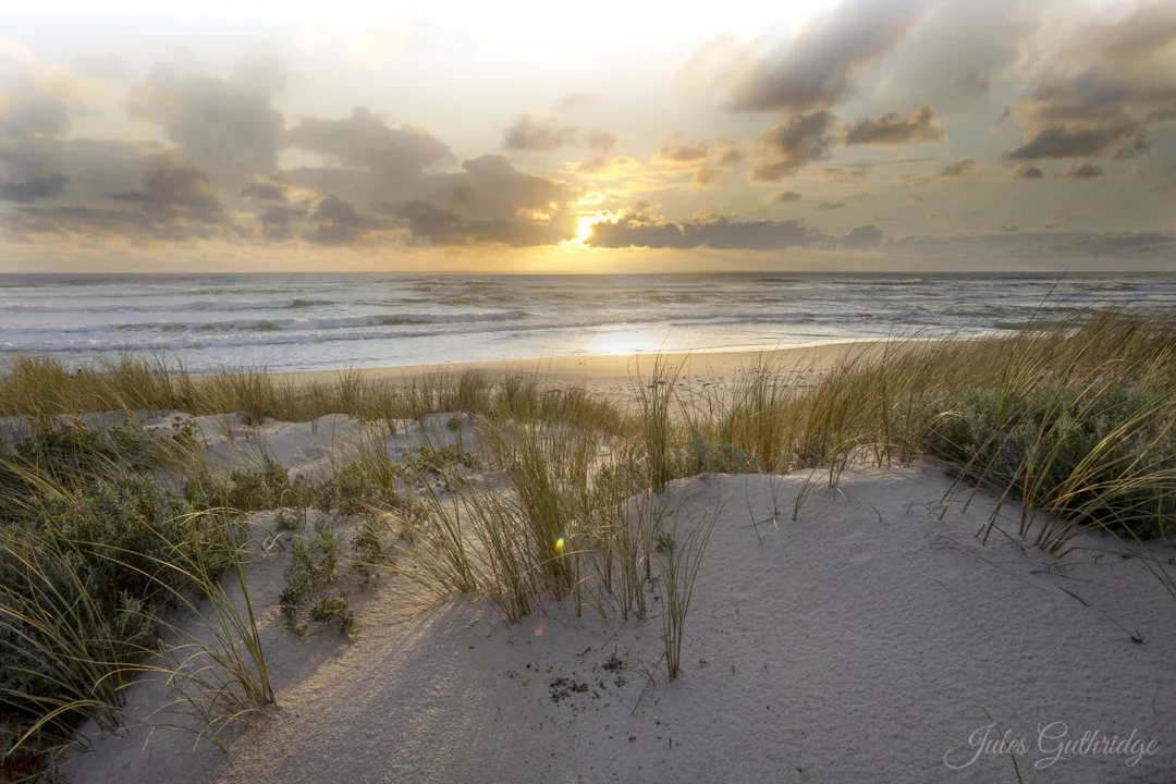 Golden Hour in the Dunes - Jules Guthridge