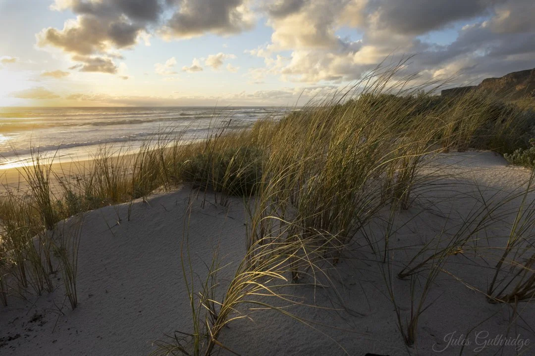 Dunes and Ocean - Jules Guthridge