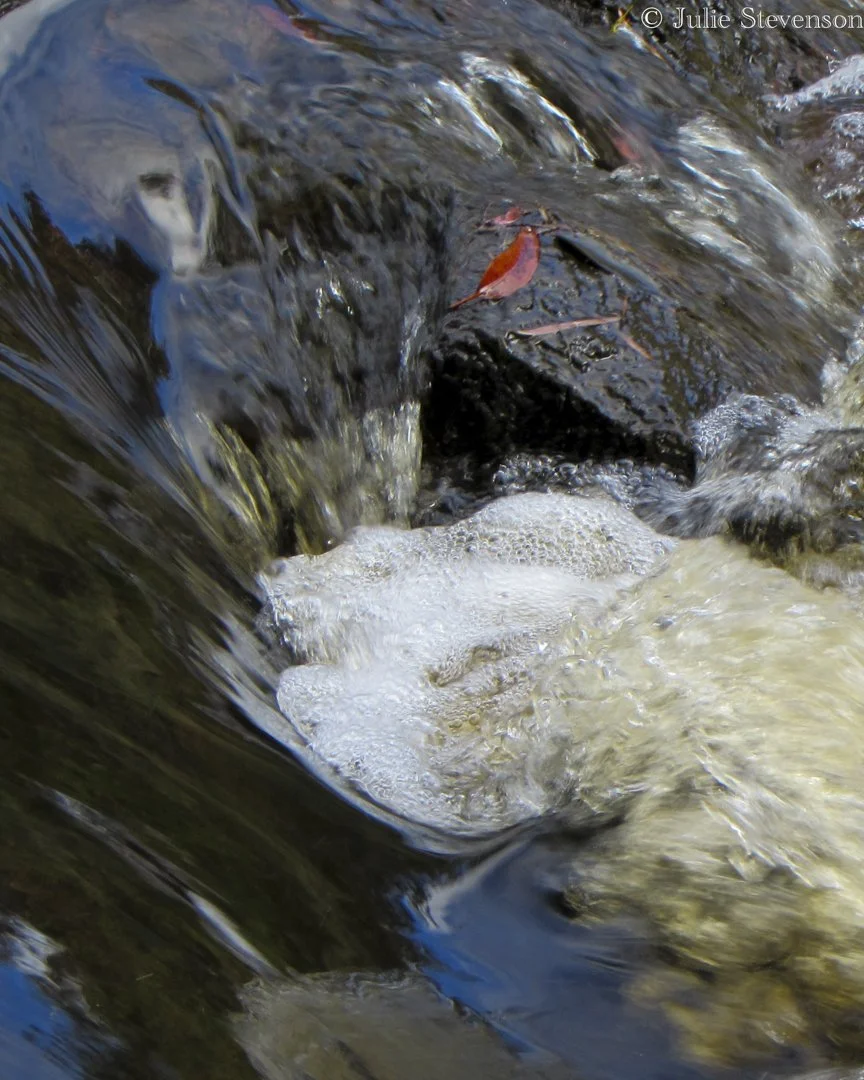 Moving Water - Julie Stevenson