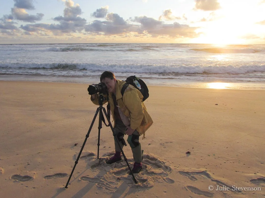 Lyn in her Element - Julie Stevenson