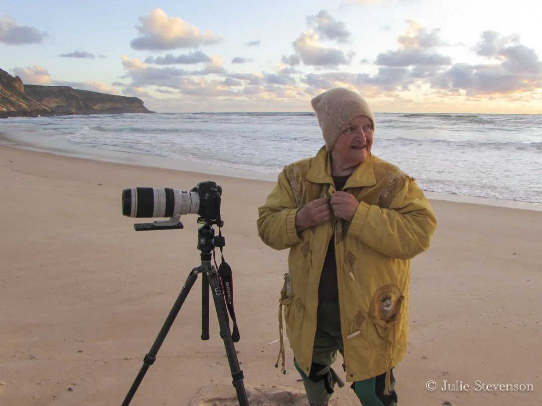 Portrait of Lyn - Julie Stevenson