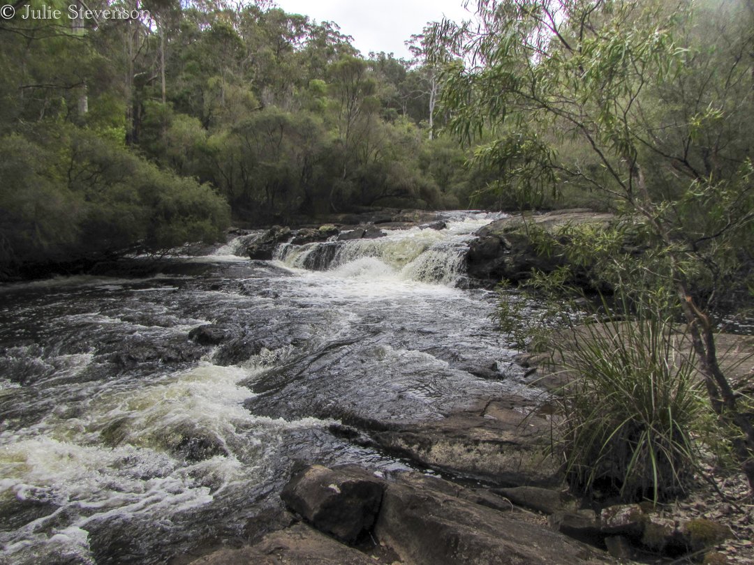 Warren River - Julie Stevenson