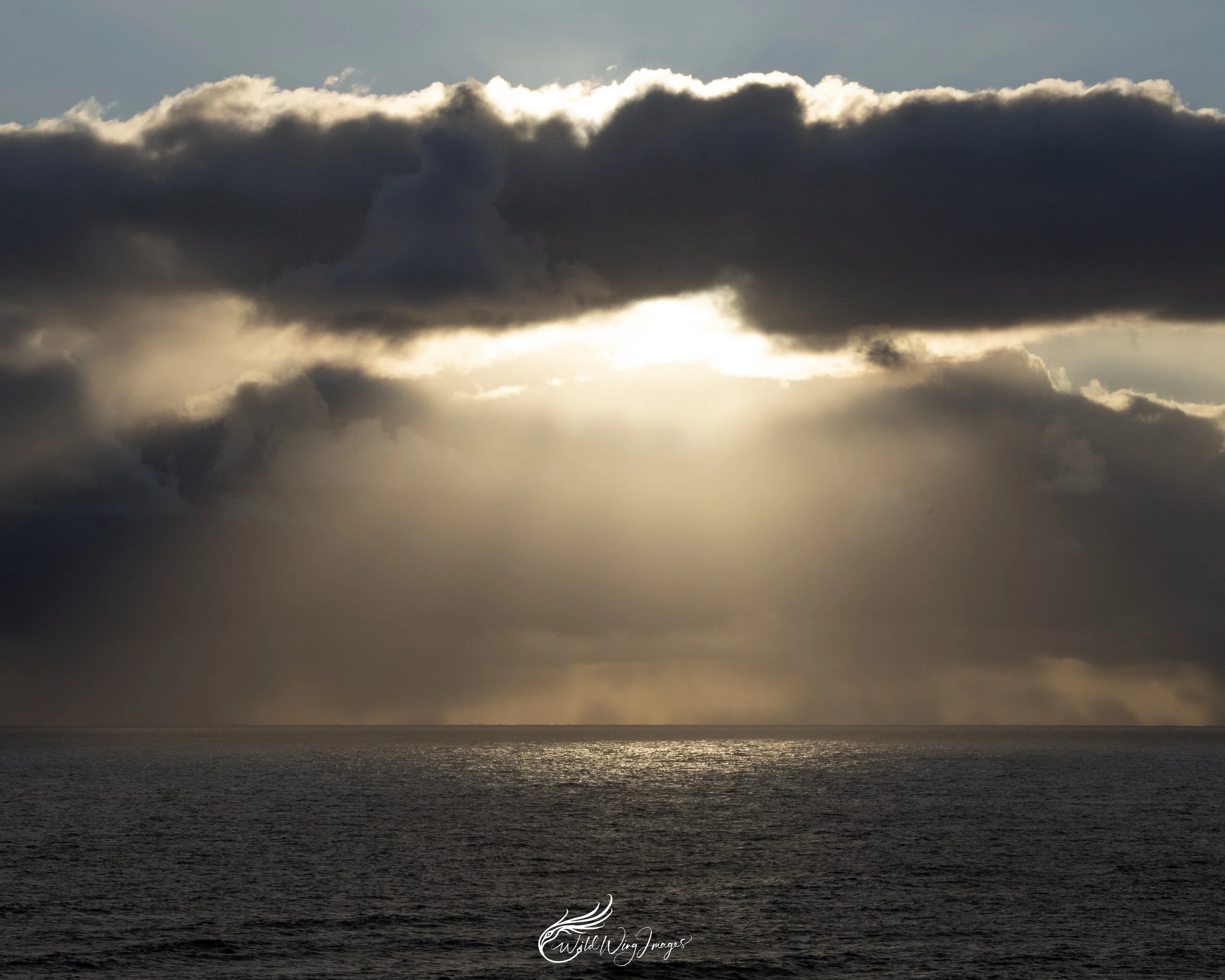 Light - Mel Zappelli